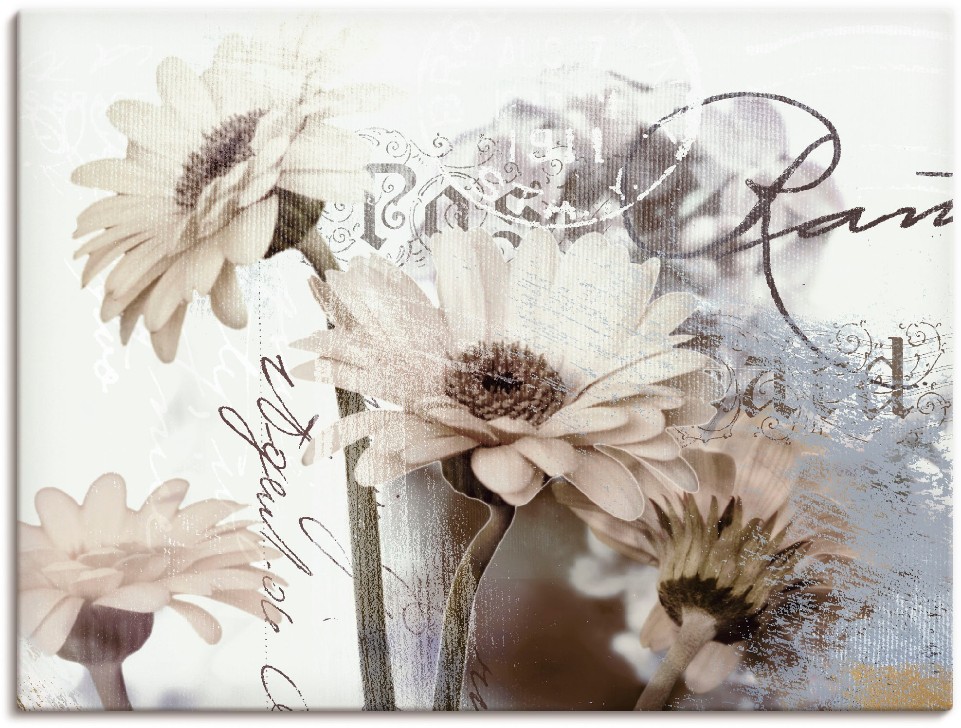 Artland Wandbild "Gerberas Detail" Blumenbilder 1 Stk. tlg. als Leinwandbild, Poster in verschied. Grössen