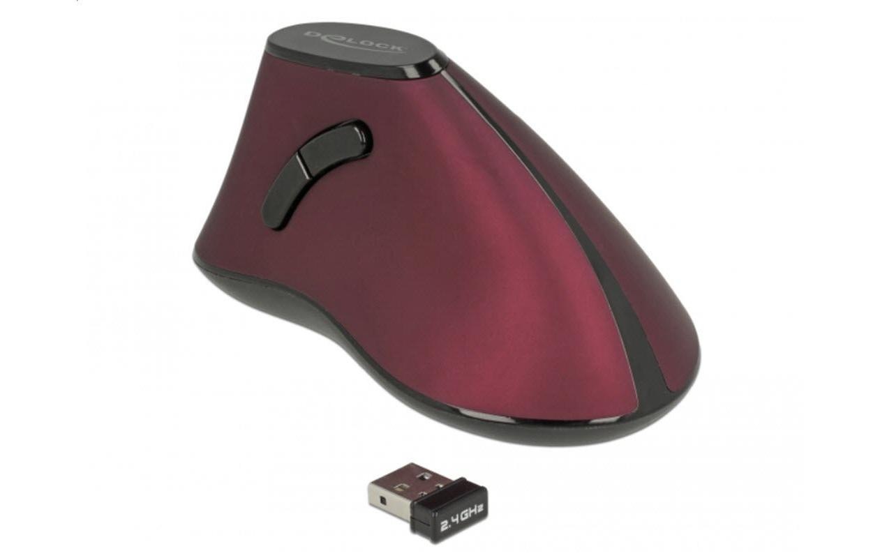 Delock ergonomische Maus »Ergonomische Maus 12528«, Funk
