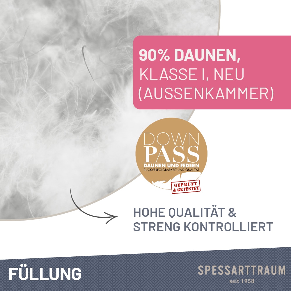 SPESSARTTRAUM 3-Kammer-Kopfkissen »Exklusiv«, Füllung: 90% Daunen / 10% Federn (Aussenkammern) und 100% Federn (Innenkammer), Bezug: feiner Daunenbatist, 100% Baumwolle, (1 St.), Kissen vom Hohenstein Institute ausgezeichnet