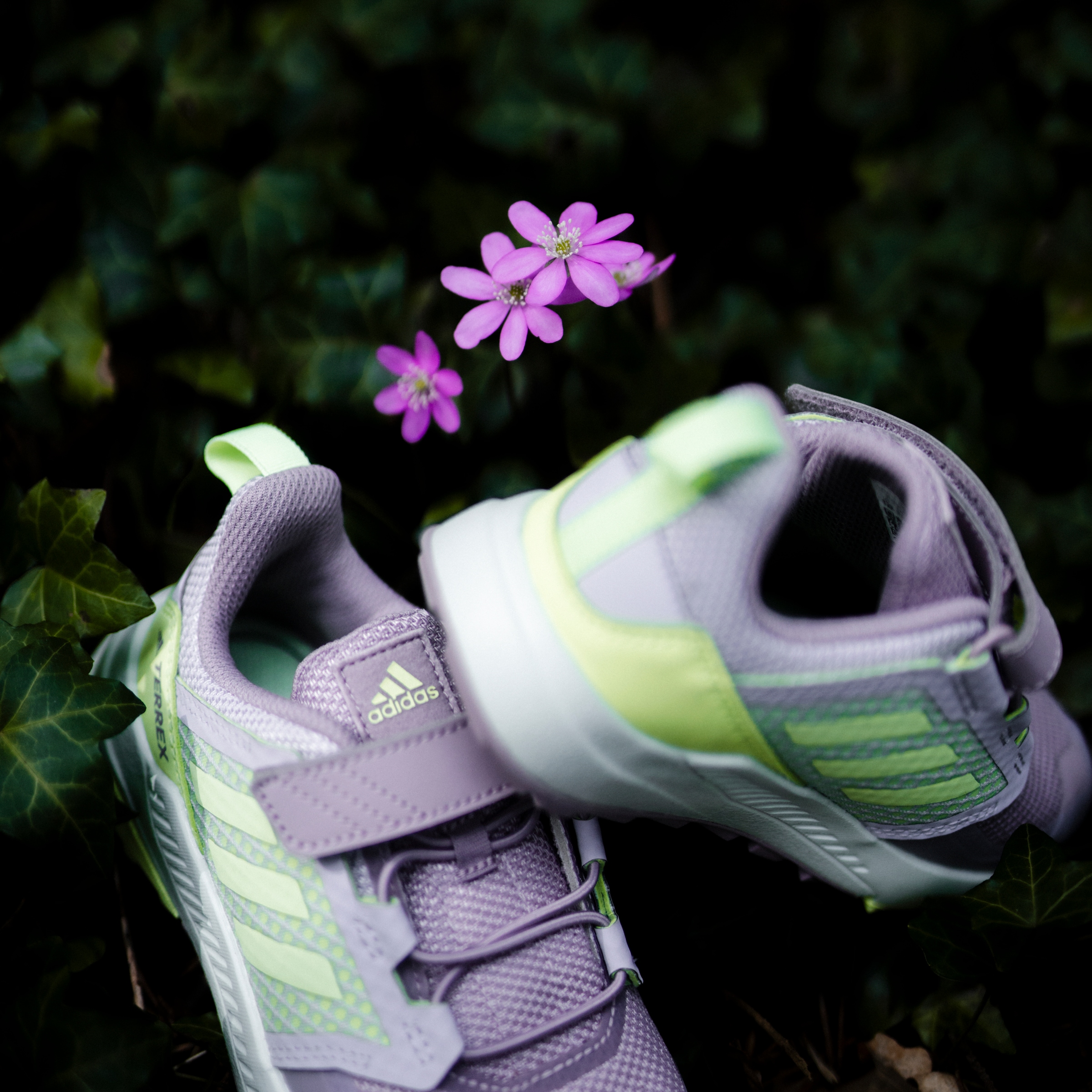 adidas TERREX Wanderschuh »TERREX TRAILMAKER«