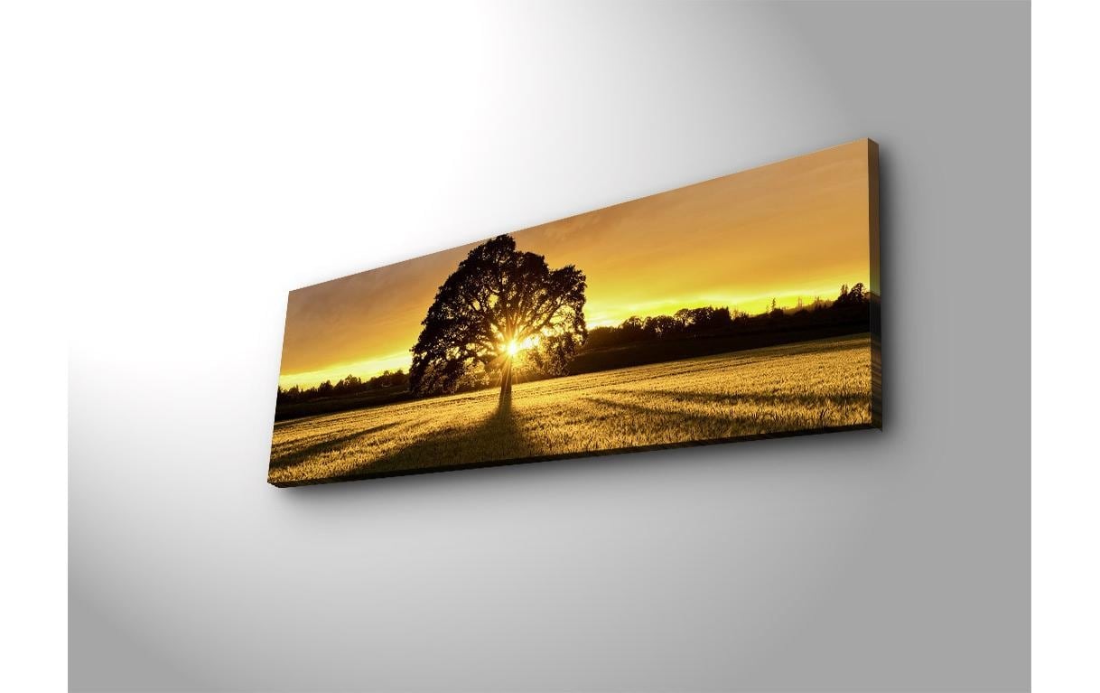 Wandbild »Wallxpert Tree«, Baum