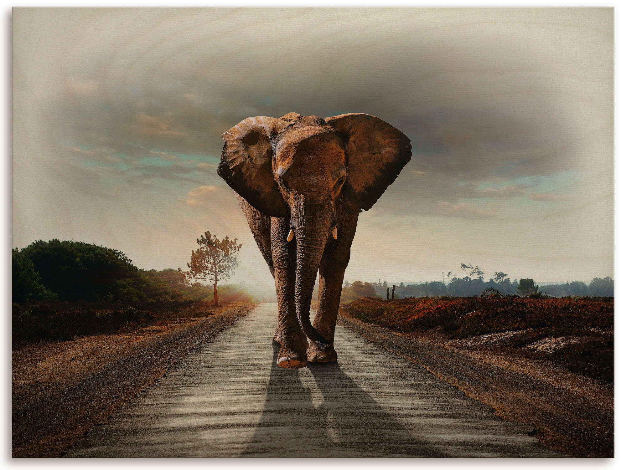 Artland Holzbild »Ein online der auf kaufen | (1 St.) Elefant Jelmoli-Versand läuft Strasse«