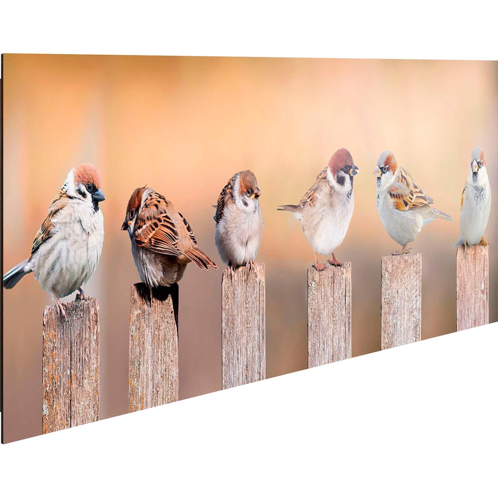 Reinders! Holzbild »Deco Panel 30x90 Bird Family«