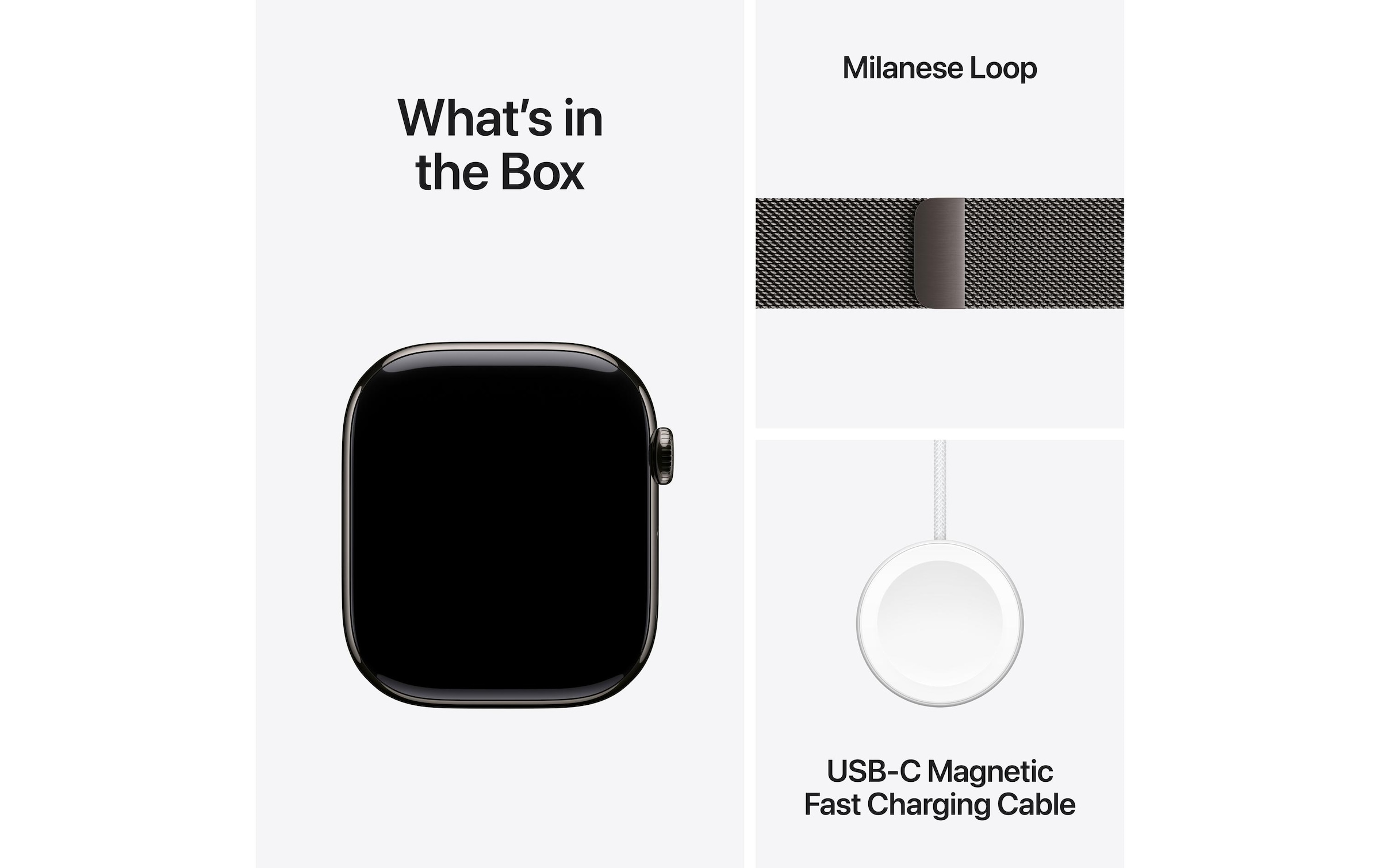Apple Watch Series 10 Titan, 46 mm, GPS + Cellular, Milanese Loop M/L, Schiefer