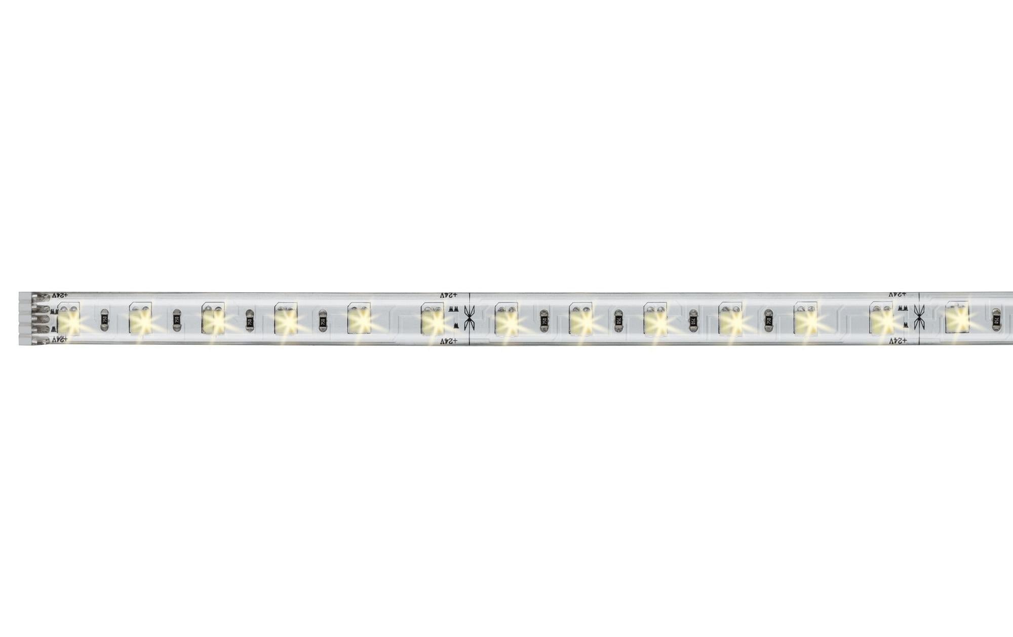 Paulmann LED-Streifen »MaxLED 500 Tuna« 60 Stk.-flammig