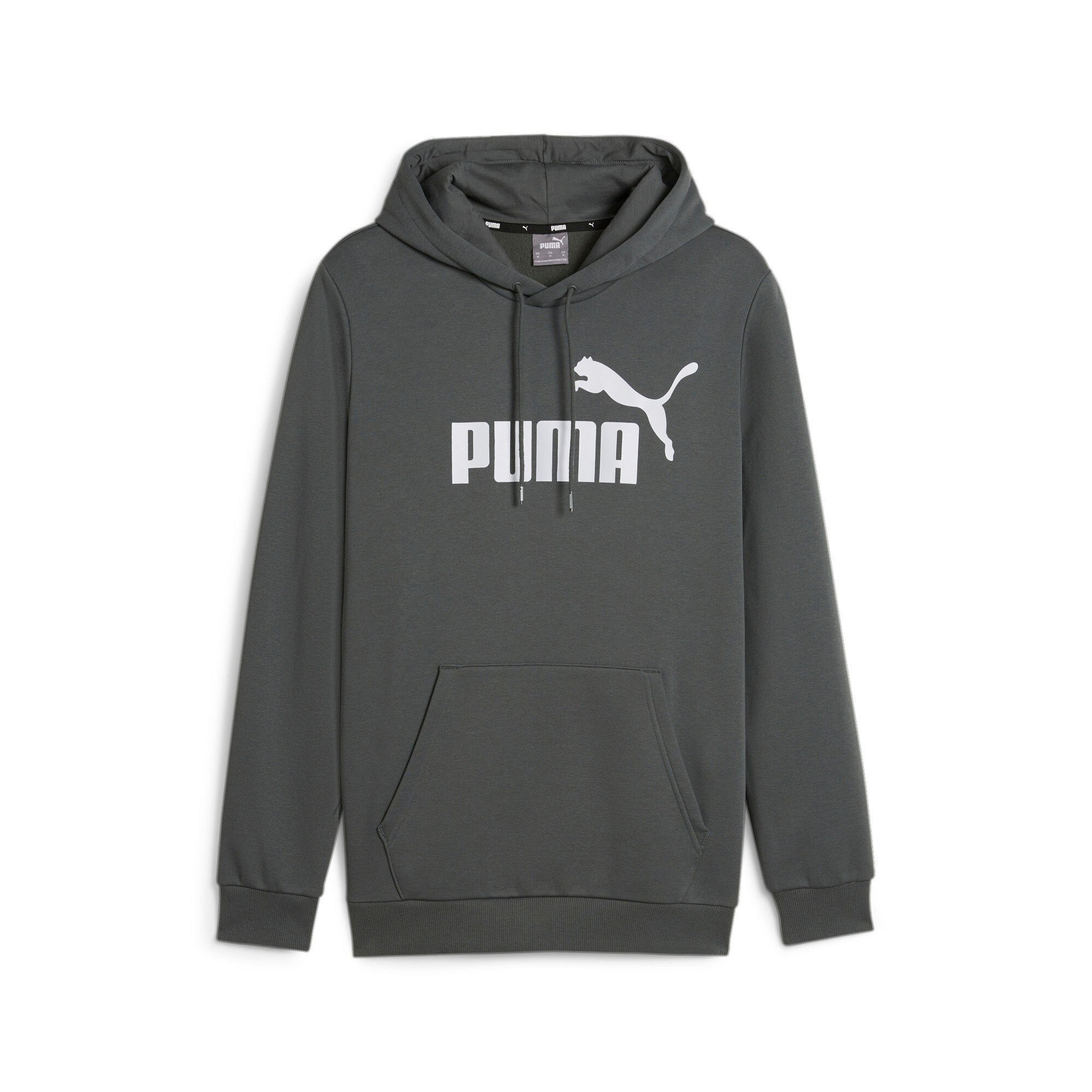 PUMA Kapuzensweatshirt »ESS BIG LOGO HOODIE FL (S)«