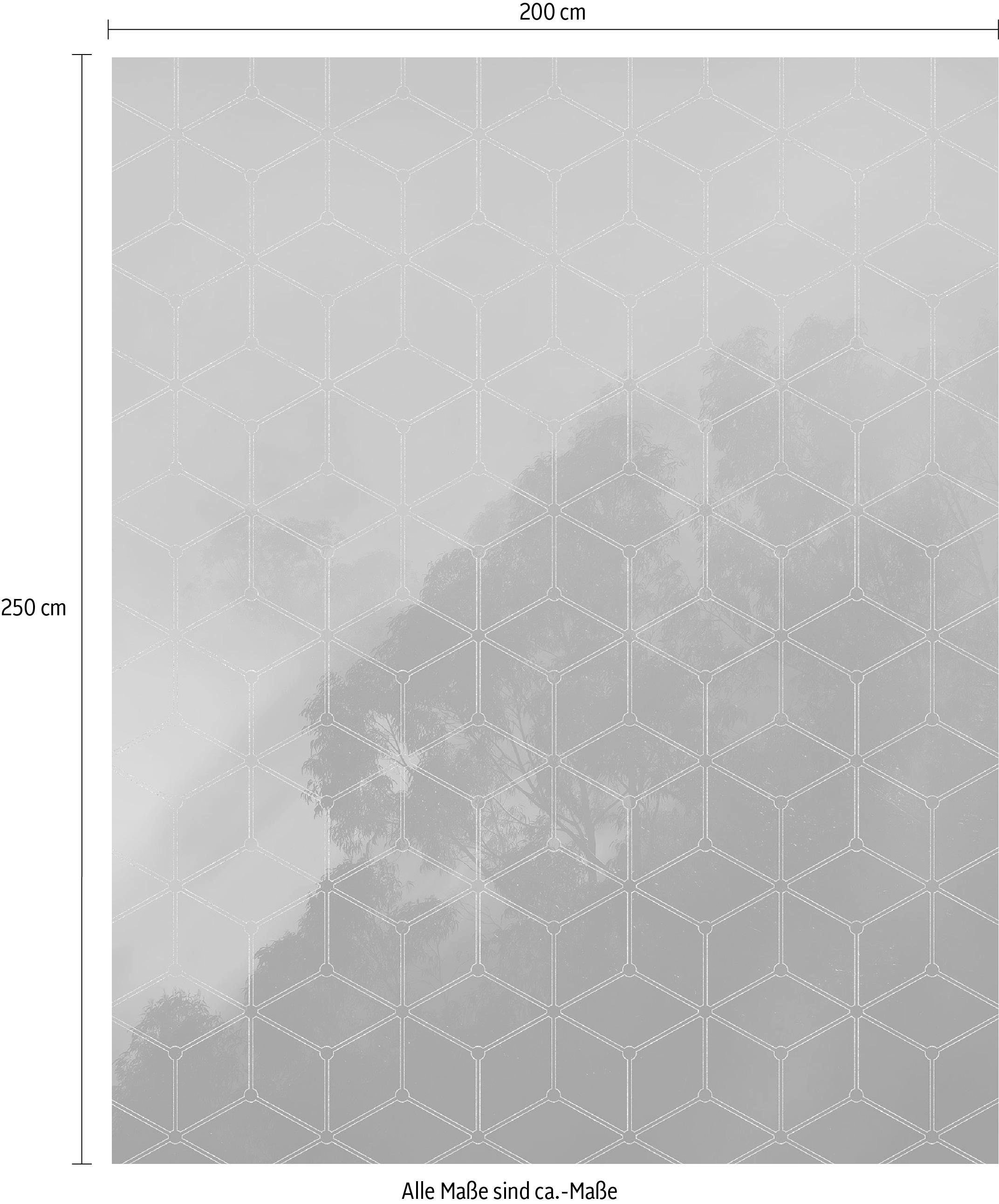 ❤ Komar Vliestapete »Golden Grid«, 200x250 cm (Breite x Höhe), Vliestapete,  100 cm Bahnbreite entdecken im Jelmoli-Online Shop | Poster
