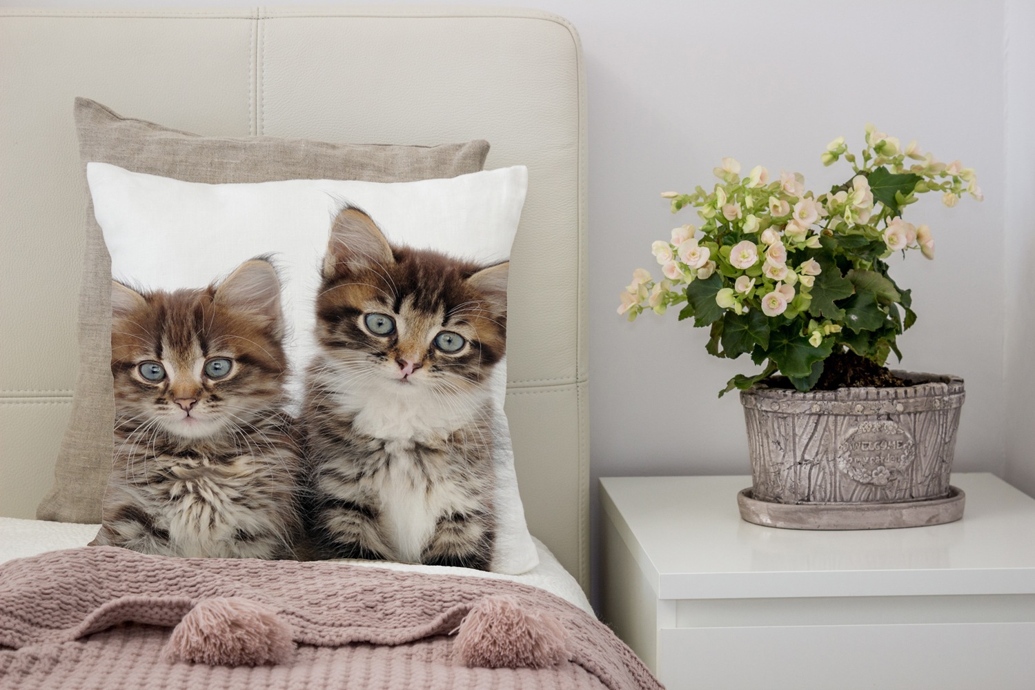 queence Dekokissen »Patrick«, Kissenhülle,Katzen,Tiermotiv,Niedlich,Verspielt,Haustiere,Dekorativ