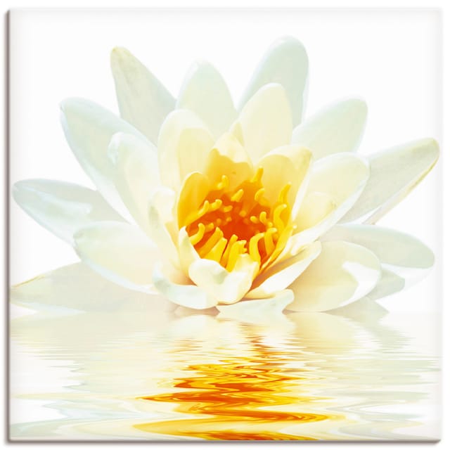 Artland Wandbild »Lotusblume schwimmt im Wasser«, Blumen, (1 St.), als  Alubild, Leinwandbild, Wandaufkleber oder Poster in versch. Grössen online  shoppen | Jelmoli-Versand