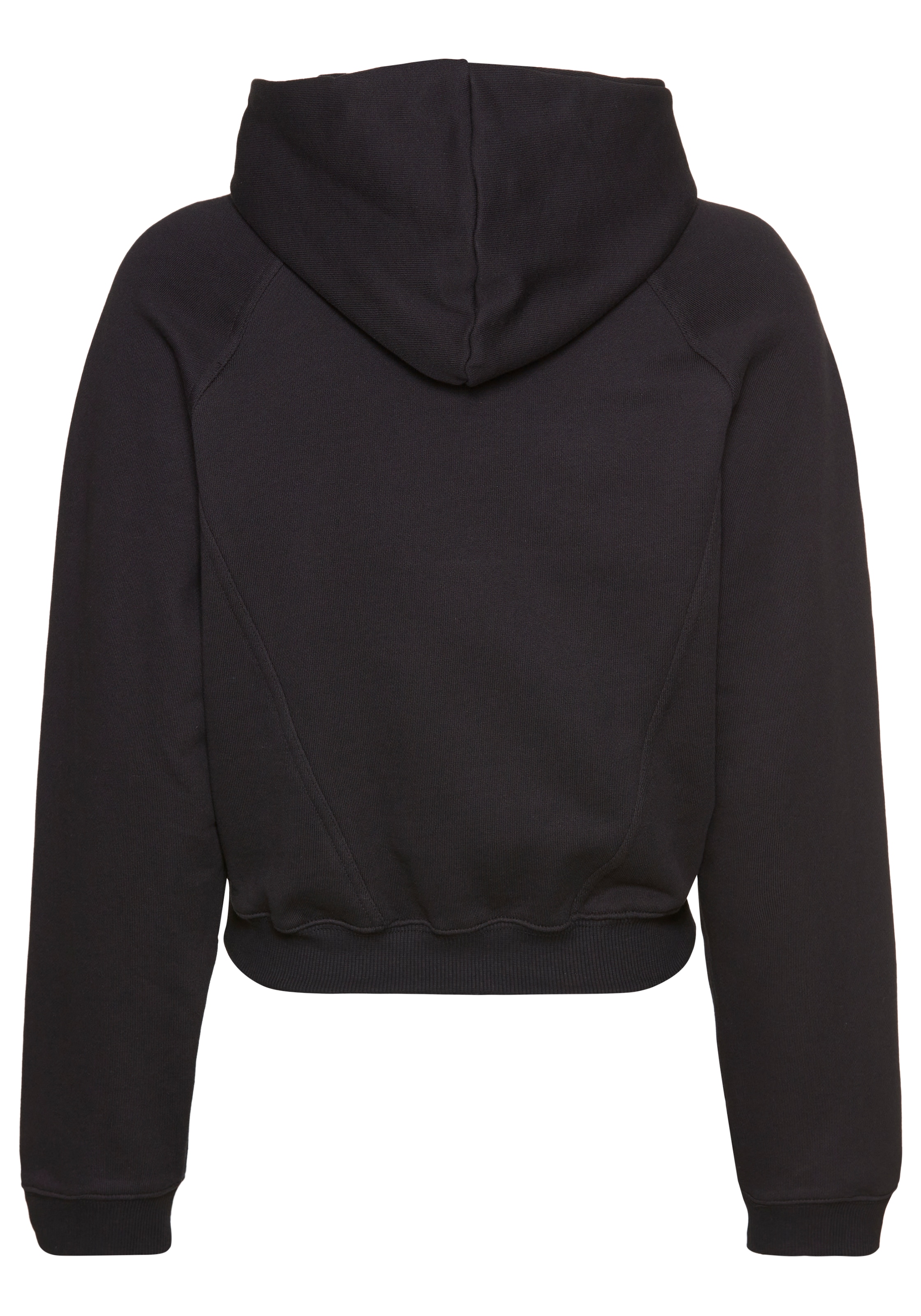 Reebok Kapuzensweatshirt »D Hoodie«
