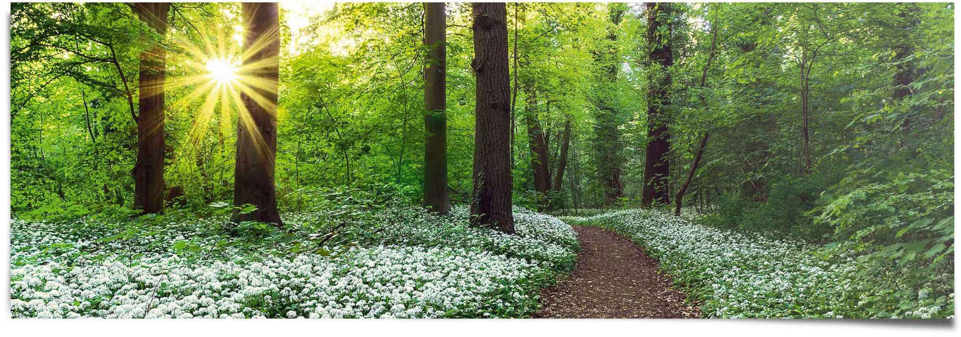 Reinders! Poster »Waldlichtung Frühling«, (1 St.)