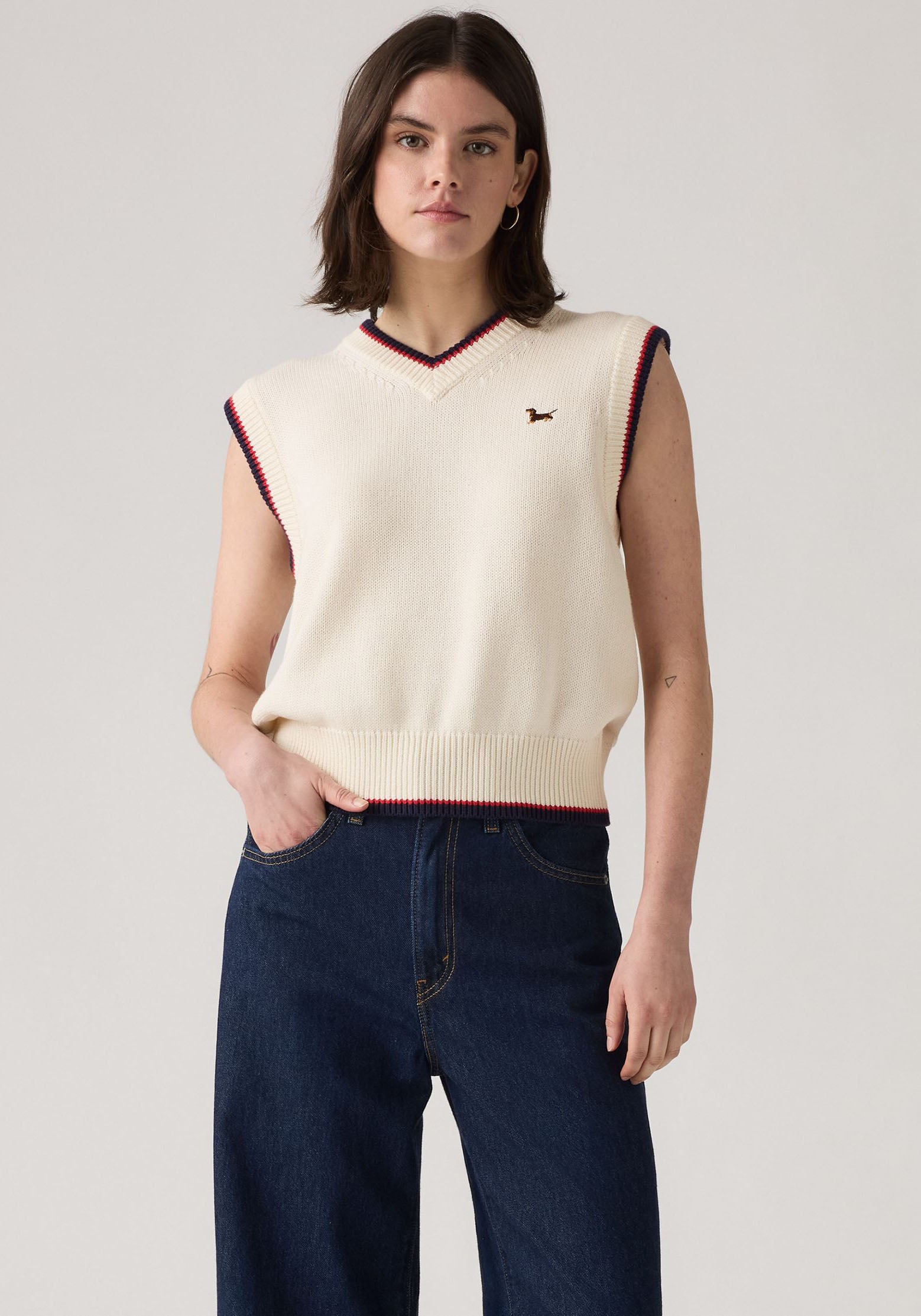 Levi's® Pullunder »CHARLIE VNECK VES« Feinstrick mit Wollanteil