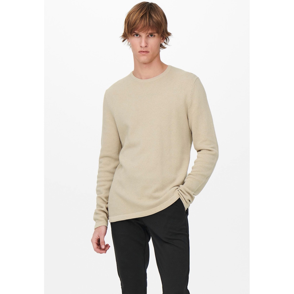 ONLY & SONS Rundhalspullover »PANTER 12 STRUC CREW NECK KNIT«