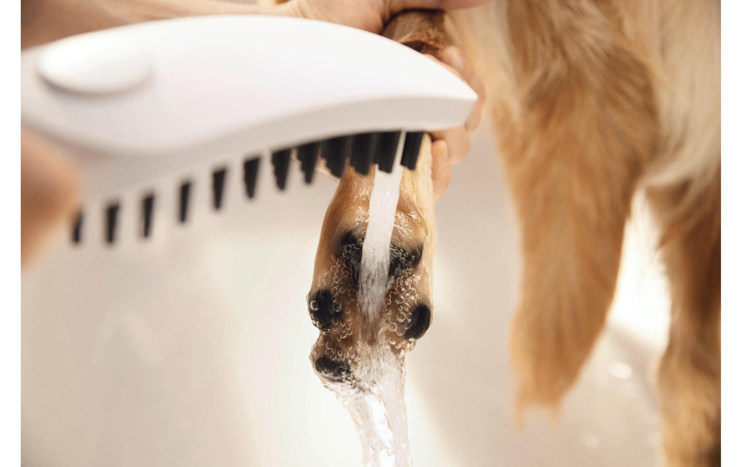 hansgrohe Handbrause »DogShower Hundebrause Matt White«