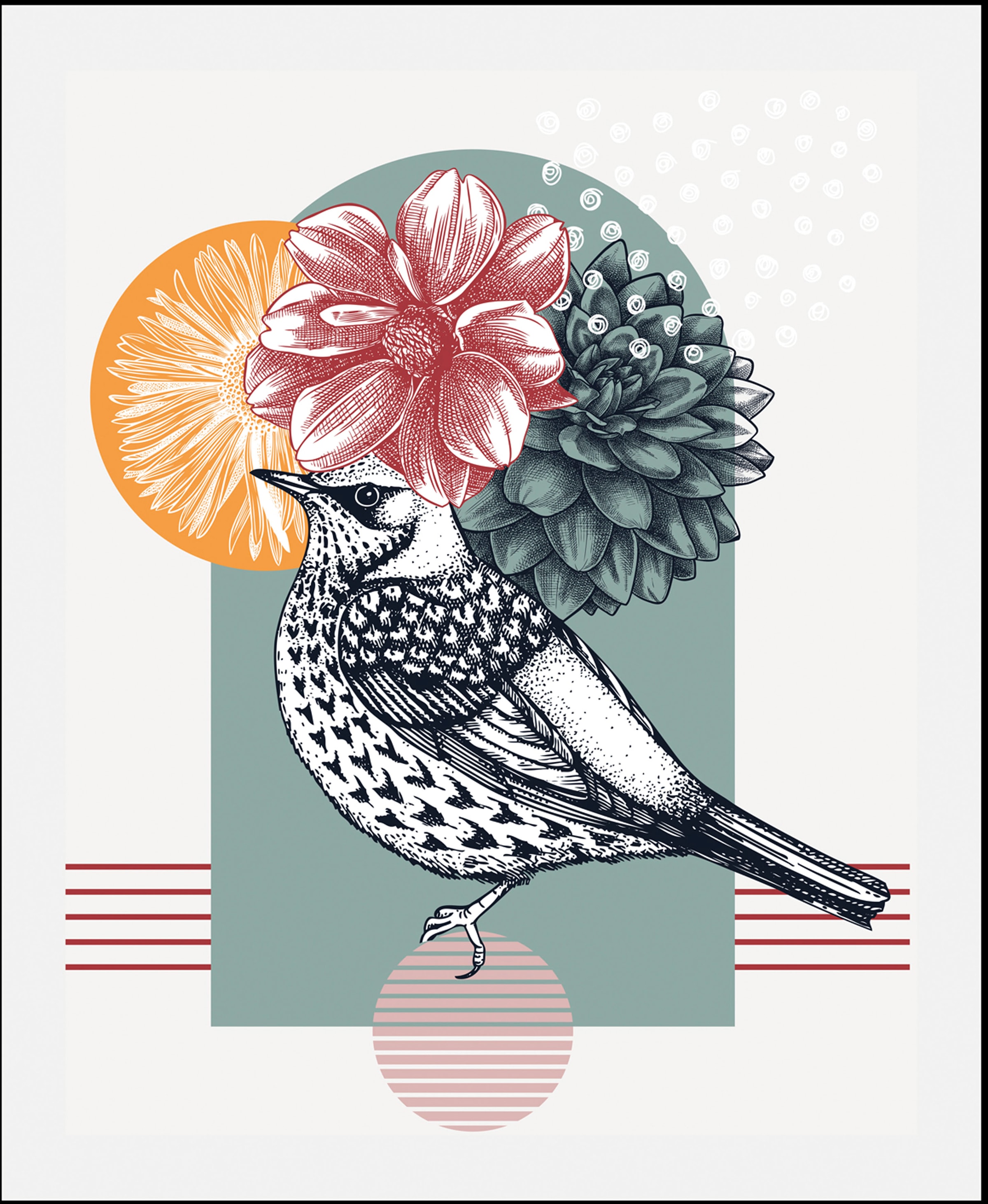 ❤ queence Bild »Birdy«, Vögel, (1 St.), gerahmt bestellen im Jelmoli-Online  Shop