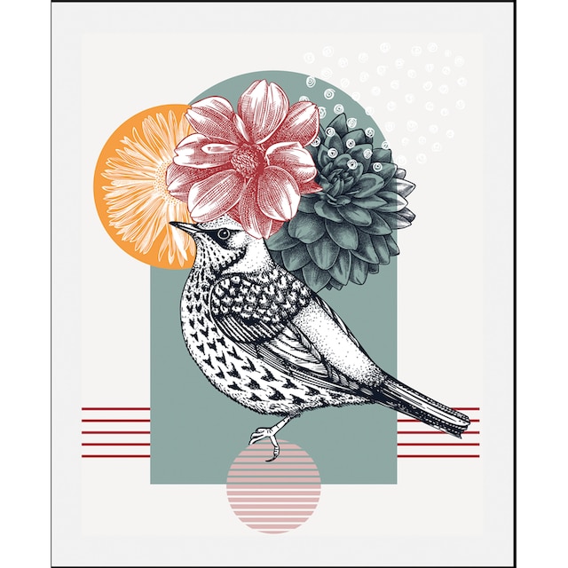 ❤ queence Bild »Birdy«, Vögel, (1 St.), gerahmt bestellen im Jelmoli-Online  Shop