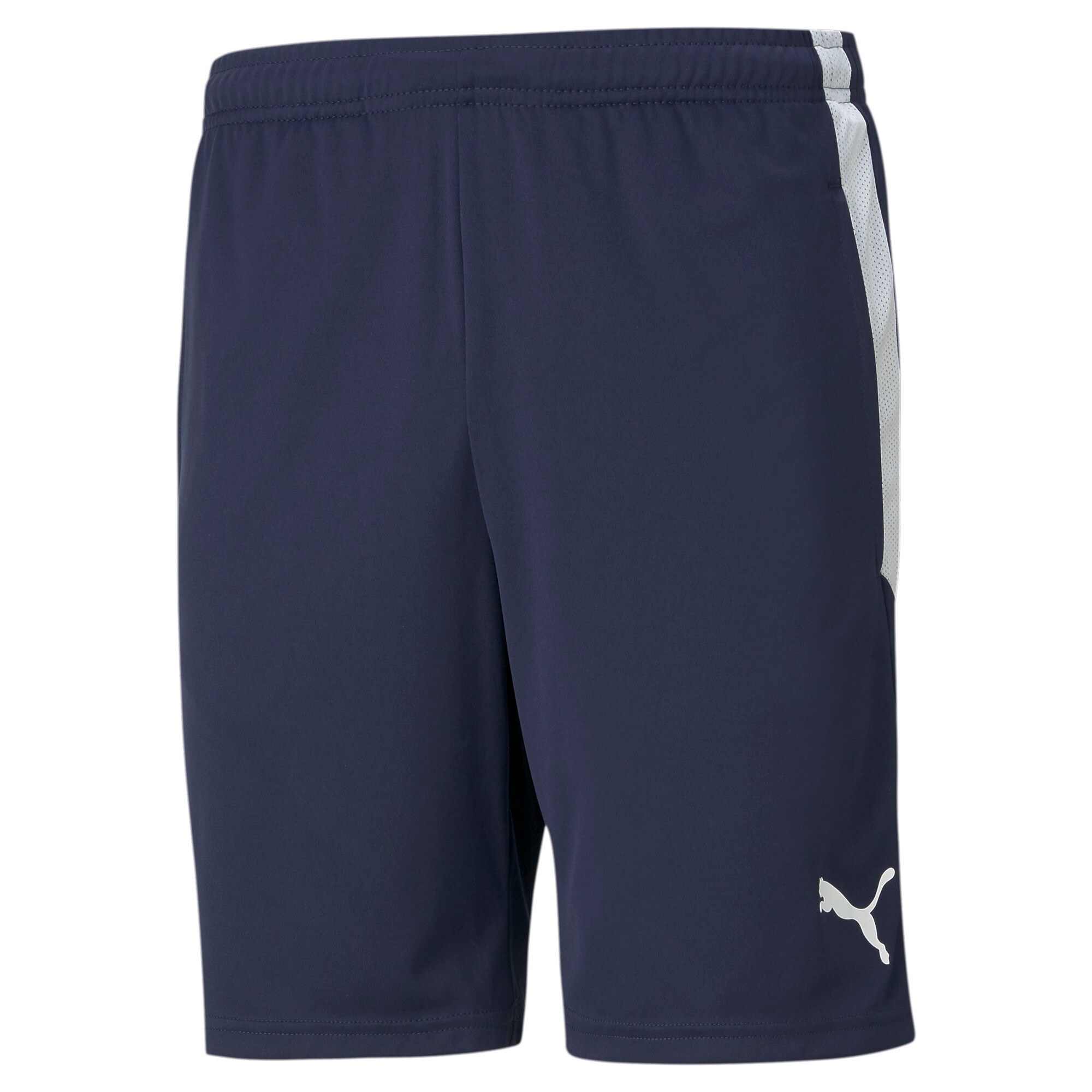 PUMA Trainingsshorts »TEAMLIGA TRAINING SHORTS« für Fussball und sportliche Aktivitäten, mit Reissverschlusstasche