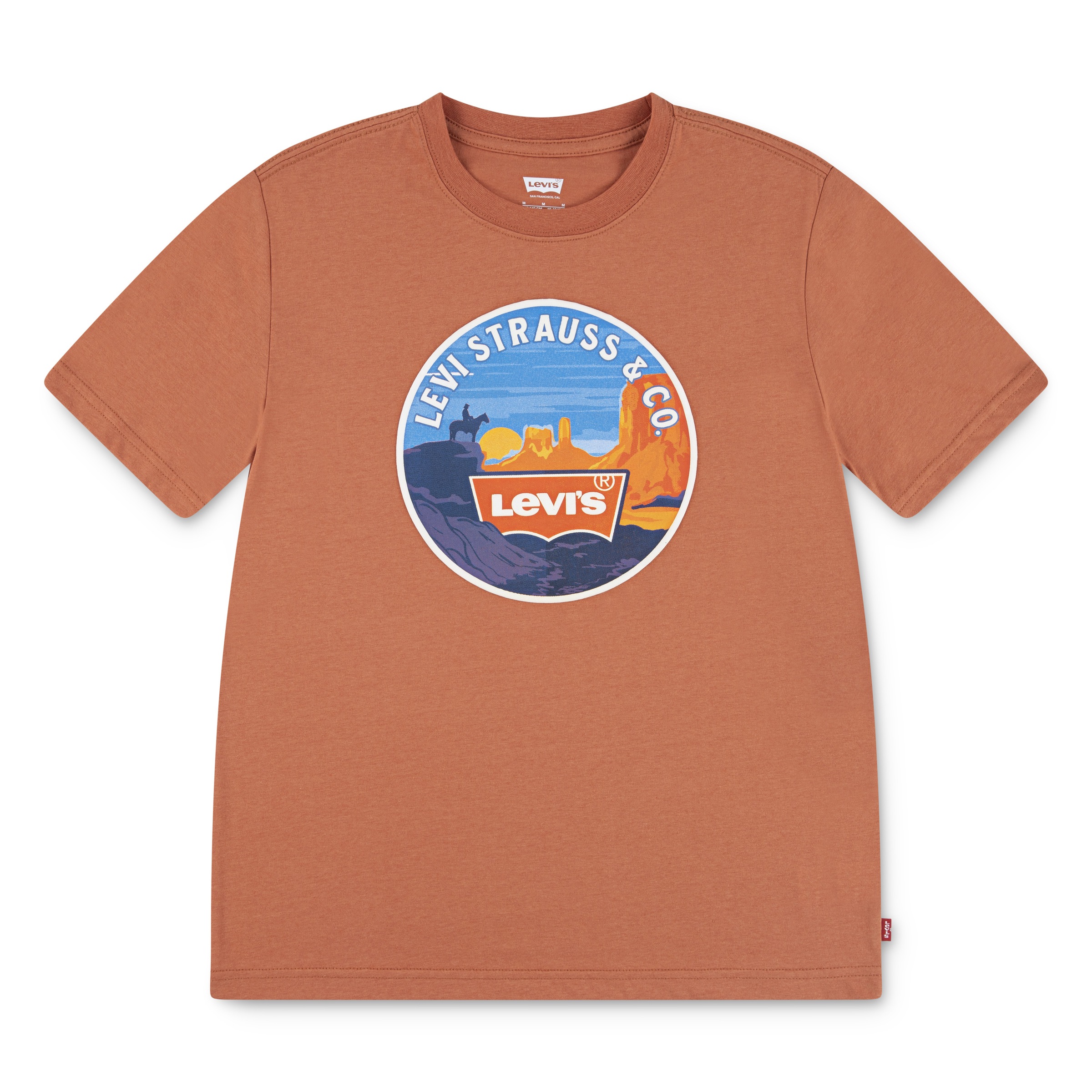 Levi's® Kids T-Shirt »LVB DESERT TRAIL TEE« mit Wüstenprint, for Boys
