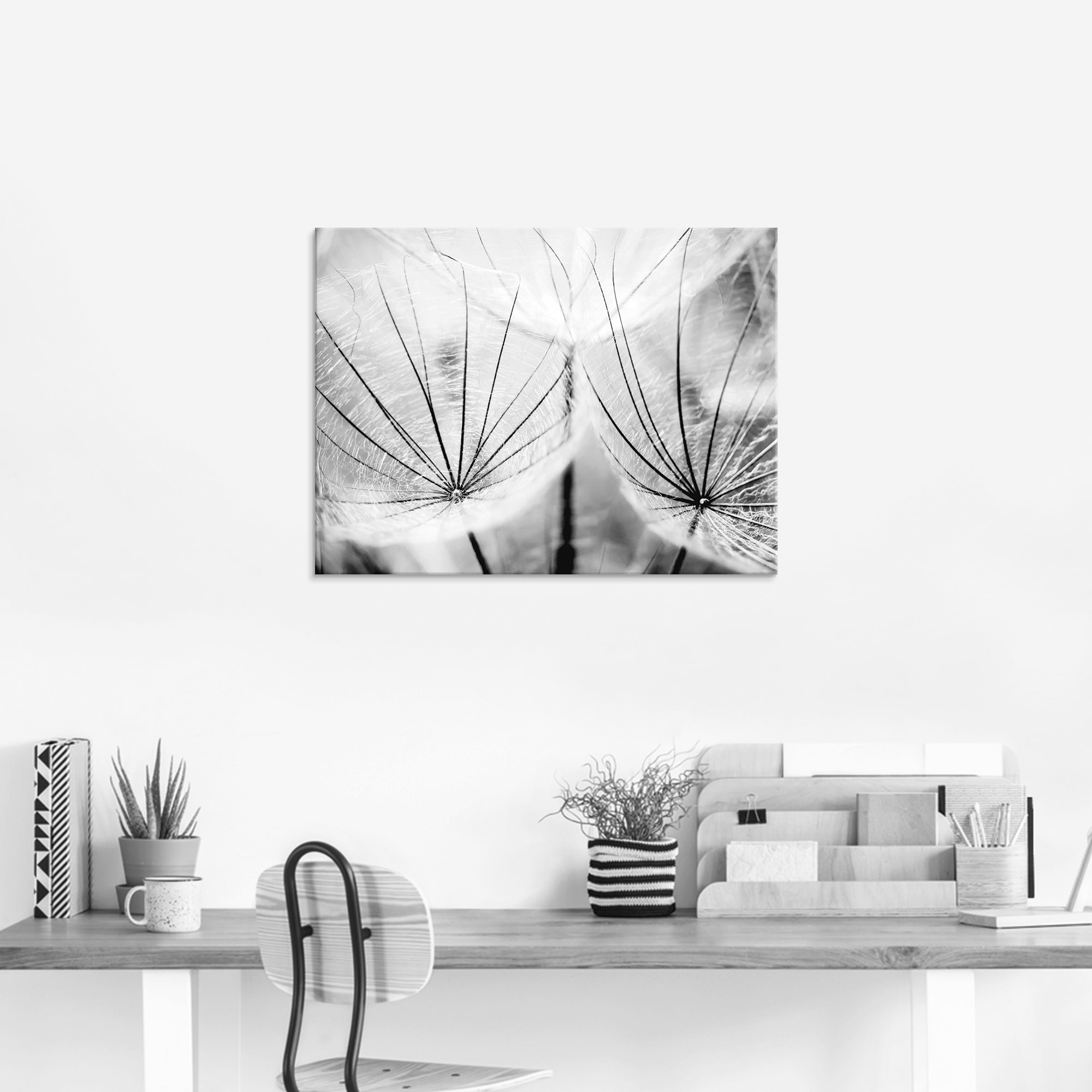 Artland Glasbild »Pusteblume in schwarzweiss«, Blumen, (1 St.), in verschiedenen Grössen
