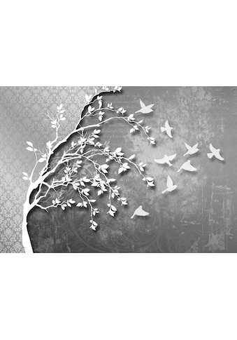 Consalnet Vliestapete »Silberfarben Baum mit Vögeln«, verschiedene Motivgrössen, für... kaufen