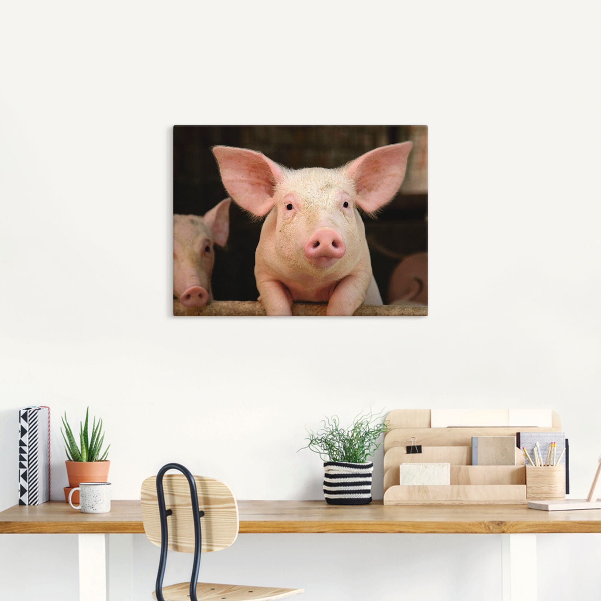 Artland Wandbild »Vorwitziges Schwein«, Haustiere, (1 St.), als Leinwandbild, Wandaufkleber in verschied. Grössen