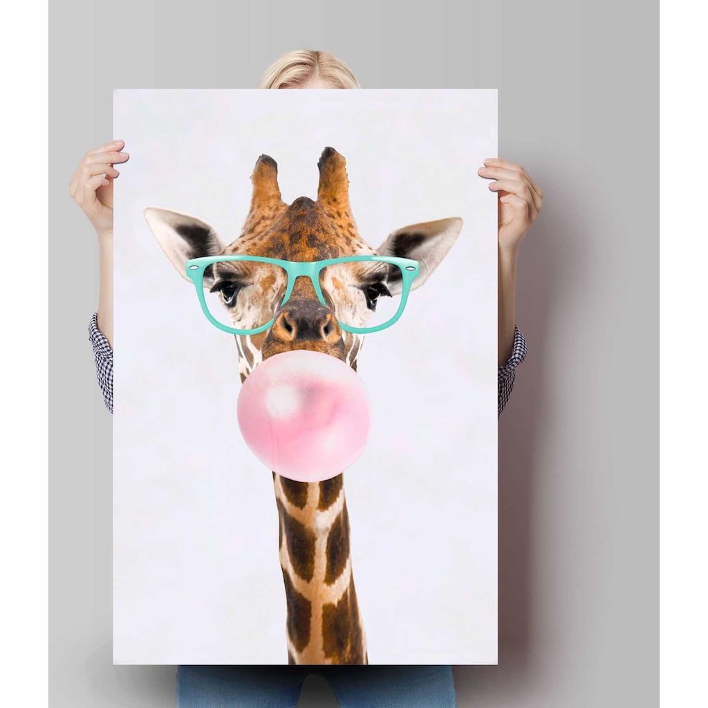 Reinders! Poster »Poster Funky Giraffe«, Giraffen, (1 St.)