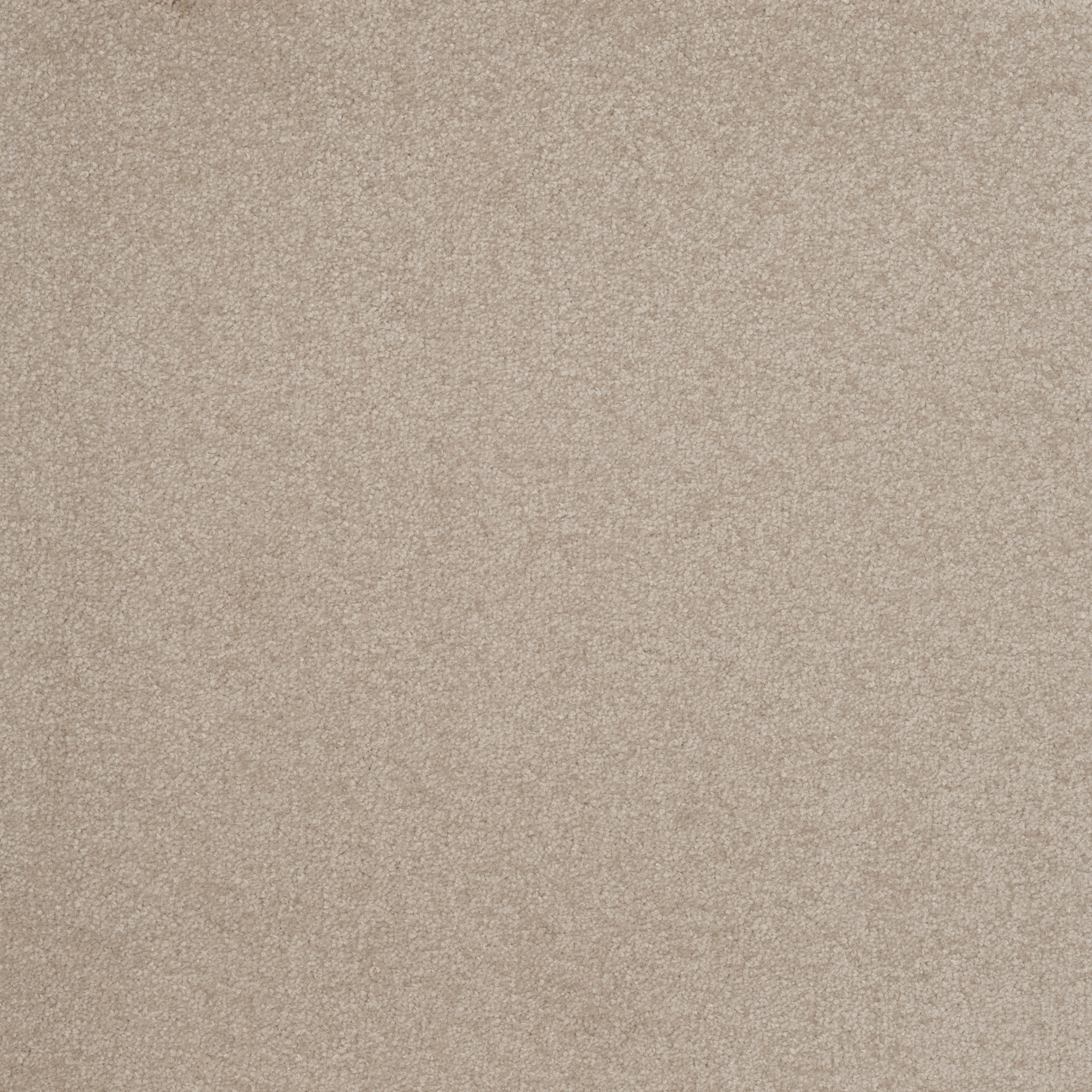 my home Teppichfliese »Capri«, quadratisch, selbstliegend, 4 oder 20 Stück, 50 x 50cm, Fliese, Bodenbelag