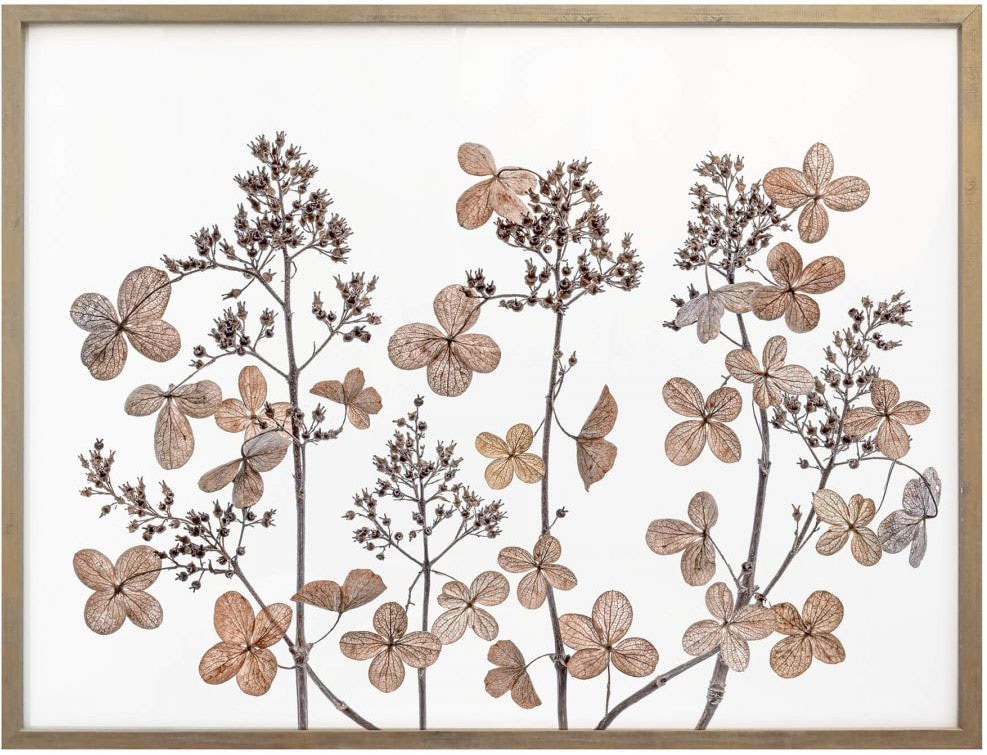 Blumen, bestellen »Getrocknete St.) | Jelmoli-Versand Blumen«, online Wall-Art Poster (1