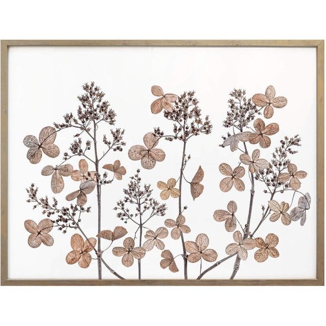 Wall-Art Poster »Getrocknete Blumen«, Blumen, (1 St.) online bestellen |  Jelmoli-Versand