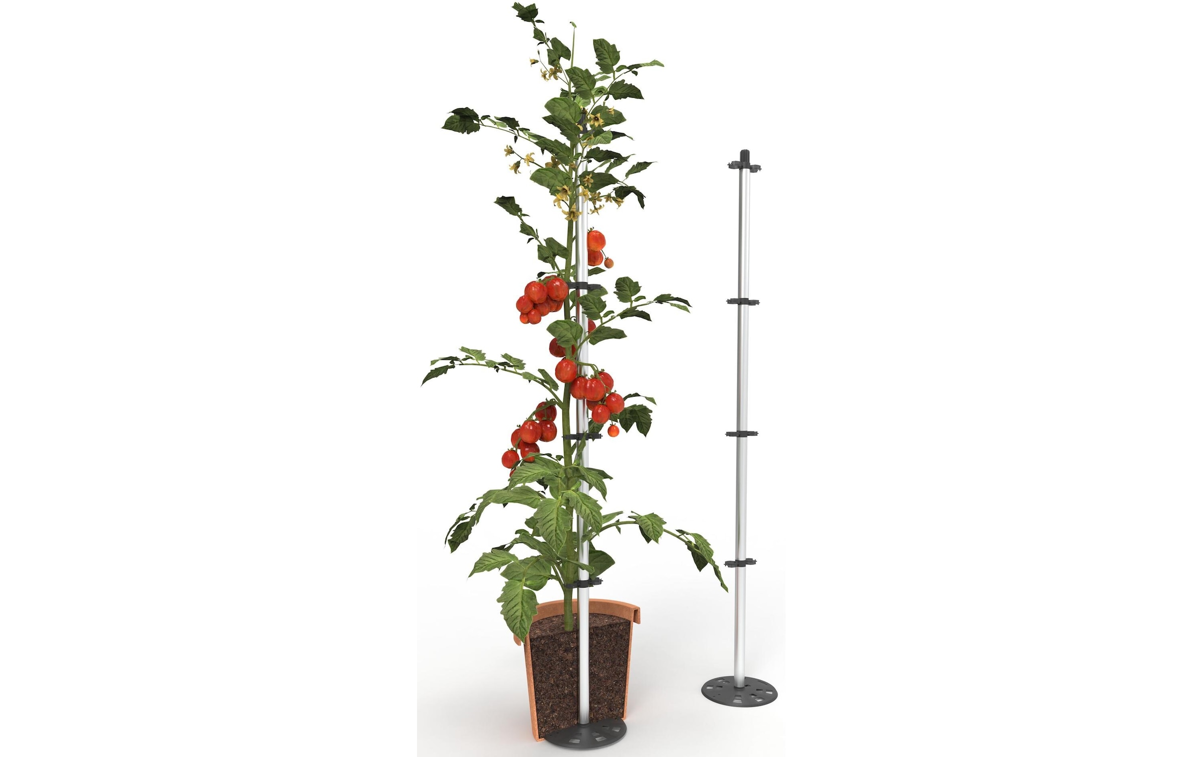 Gusta Garden Pflanzkübel »TOMATO BUDD«, (1 St.)