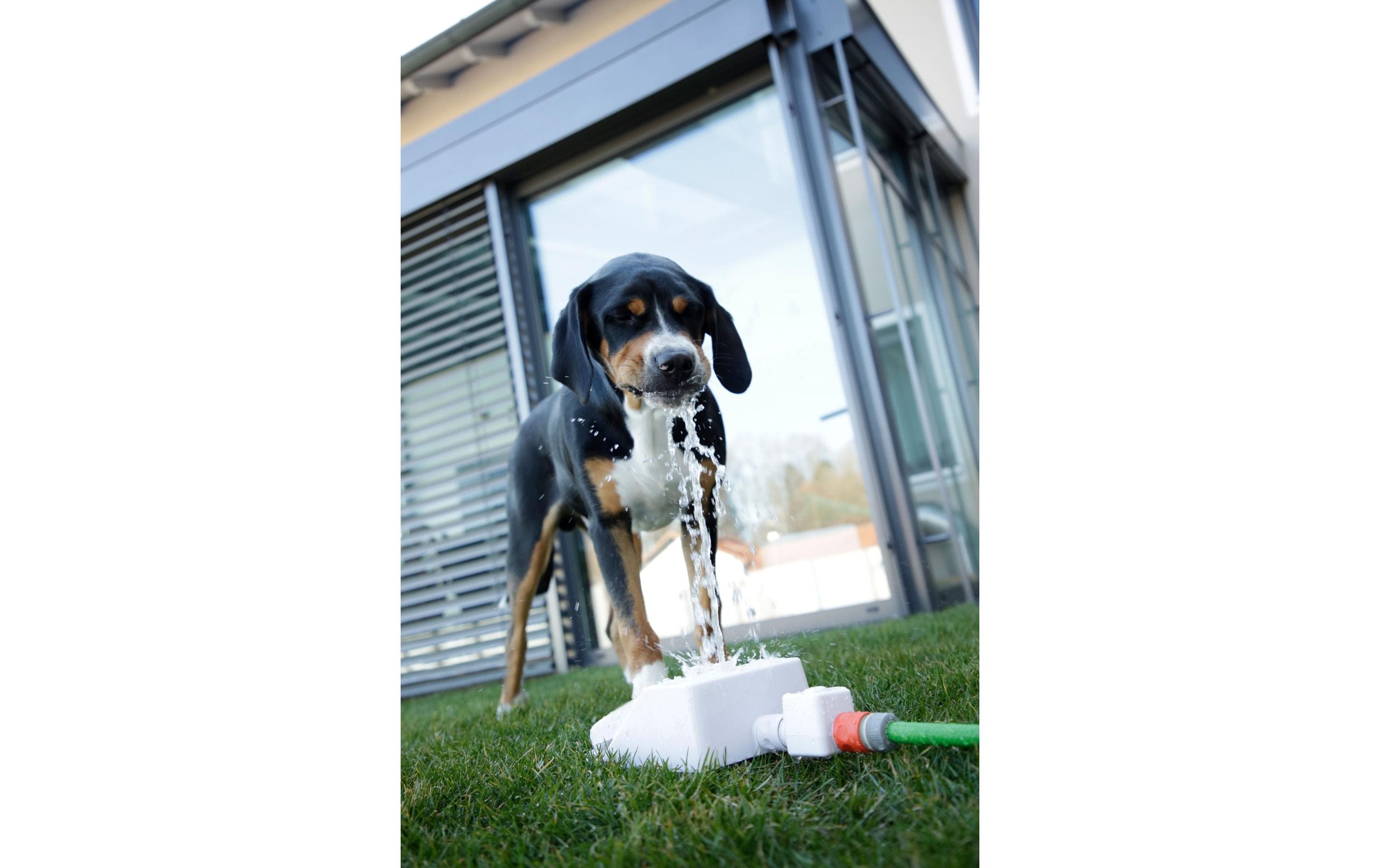 Kerbl Trinkbrunnen »Bubble 45802 cm x 18 cm x 8 cm«