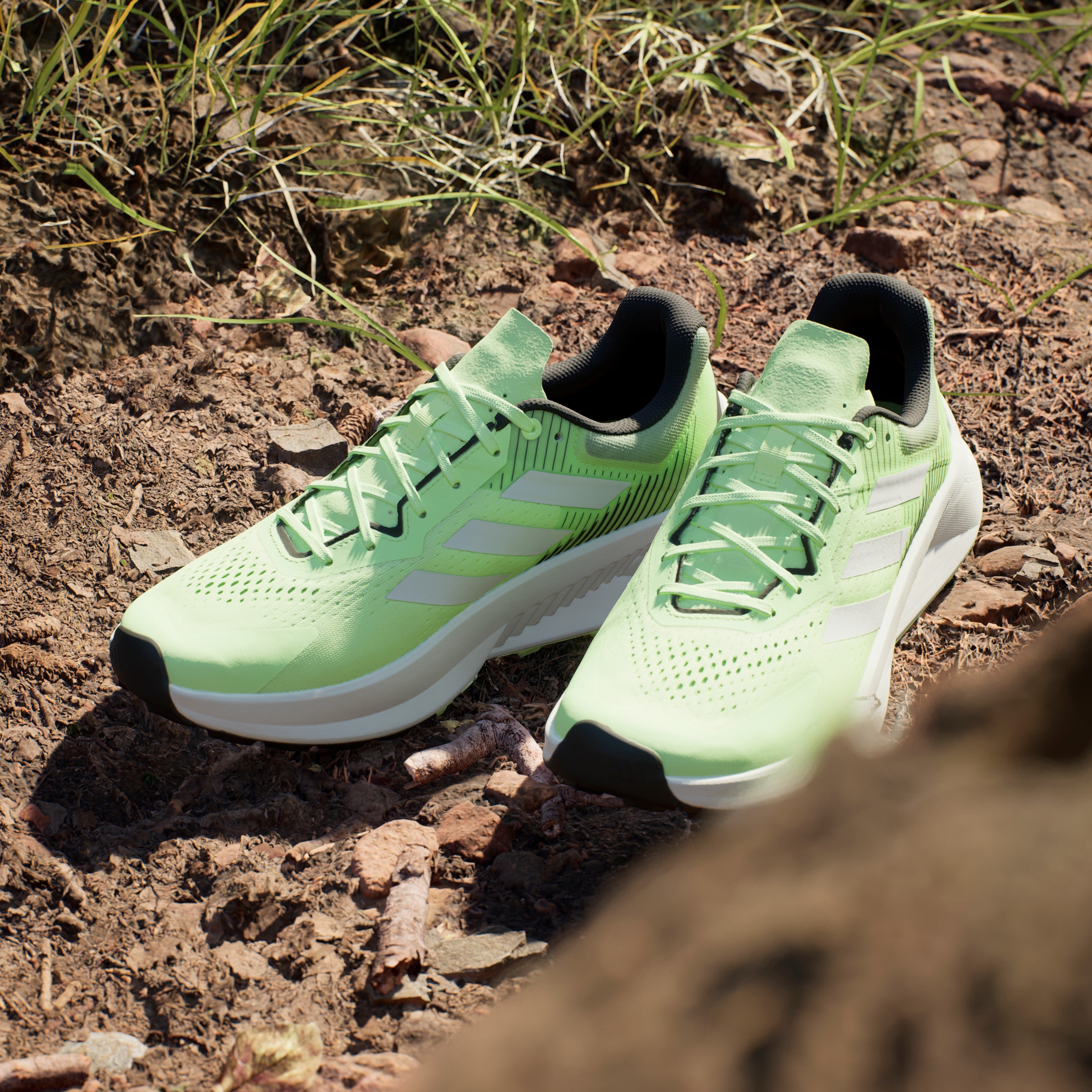 adidas TERREX Laufschuh »TERREX SOULSTRIDE FLOW TRAILRUNNING«