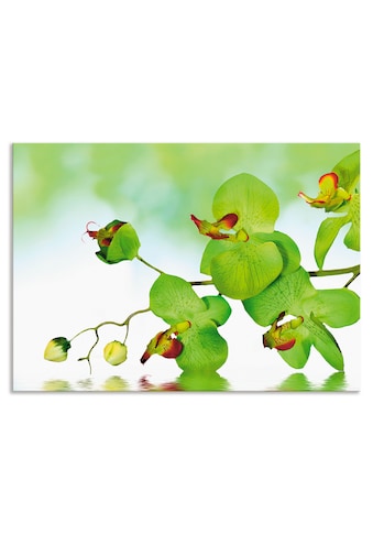 Küchenrückwand »Schöne Orchidee mit grünem Hintergrund«, (1 tlg.)