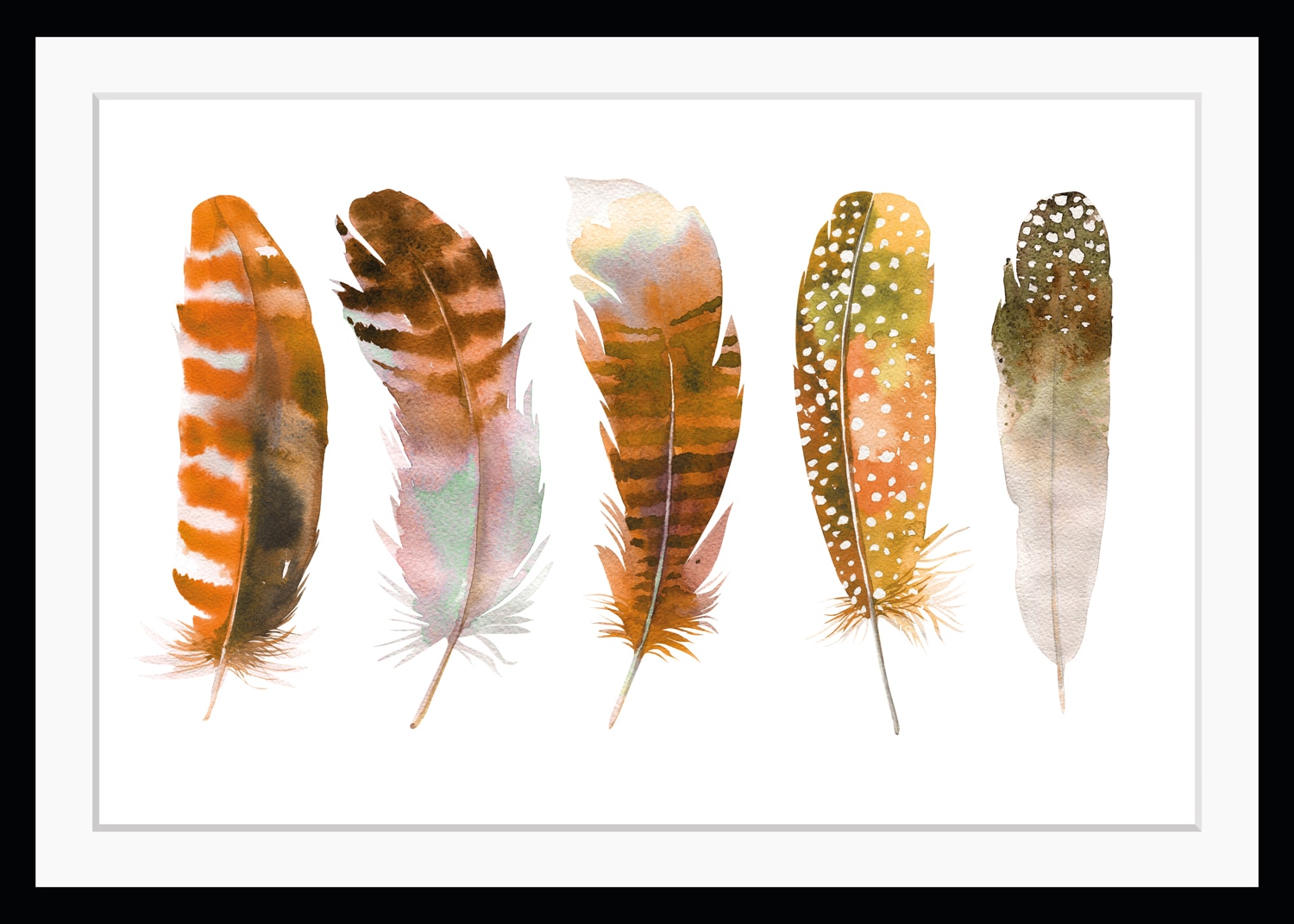 queence Bild "Bruno" Federn  Kunst HD Premium Poster-Druck inkl. Holzrahmen