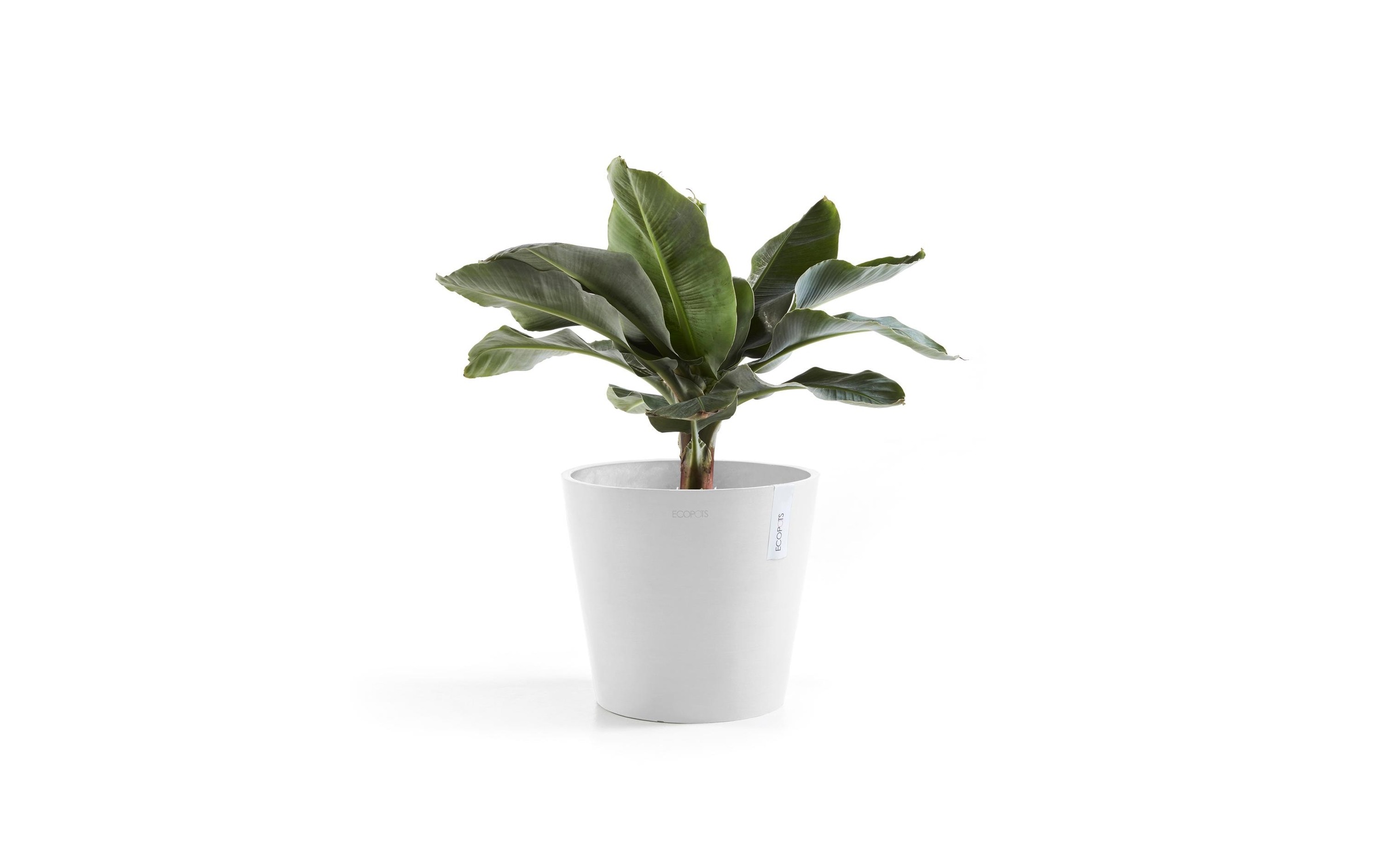 ECOPOTS Pflanzkübel »Amsterdam 40«, (1 St.)