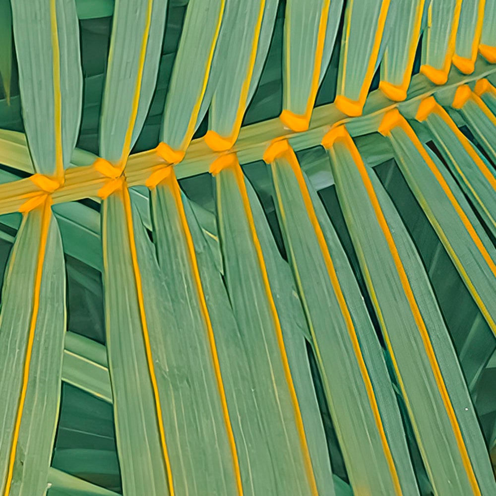 Komar Fototapete »Digitaldruck Vlies - Neon Fern - Grösse 200 x 250 cm«, bedruckt, Wohnzimmer, Schlafzimmer