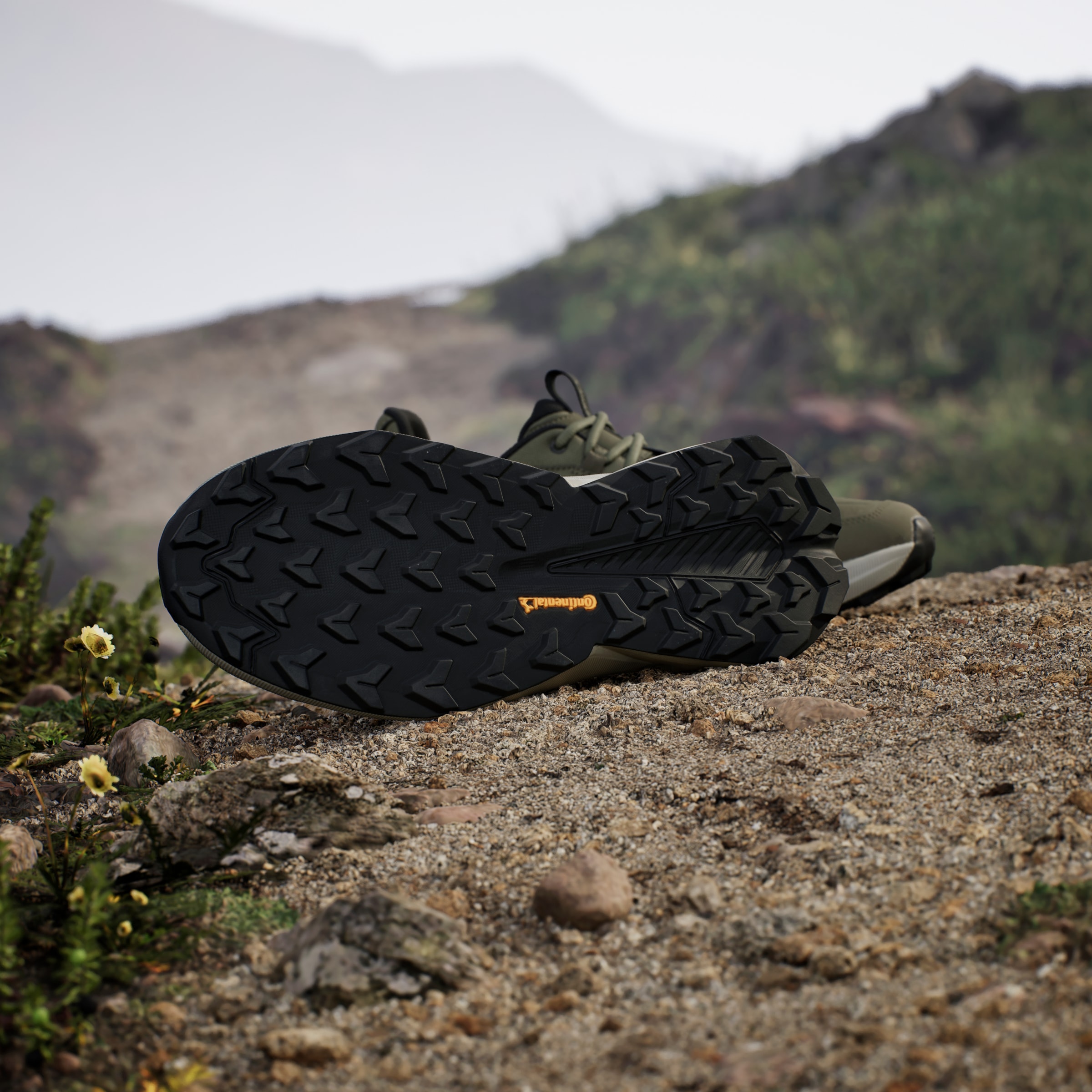 adidas TERREX Wanderschuh »TERREX TRAILMAKER 2.0 LEATHER«