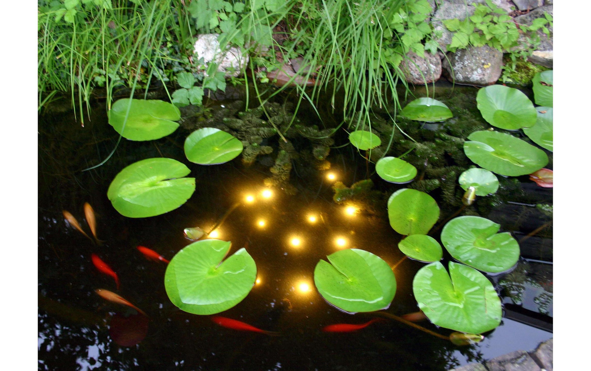 Lichtanlage »velda Welkin Pond«