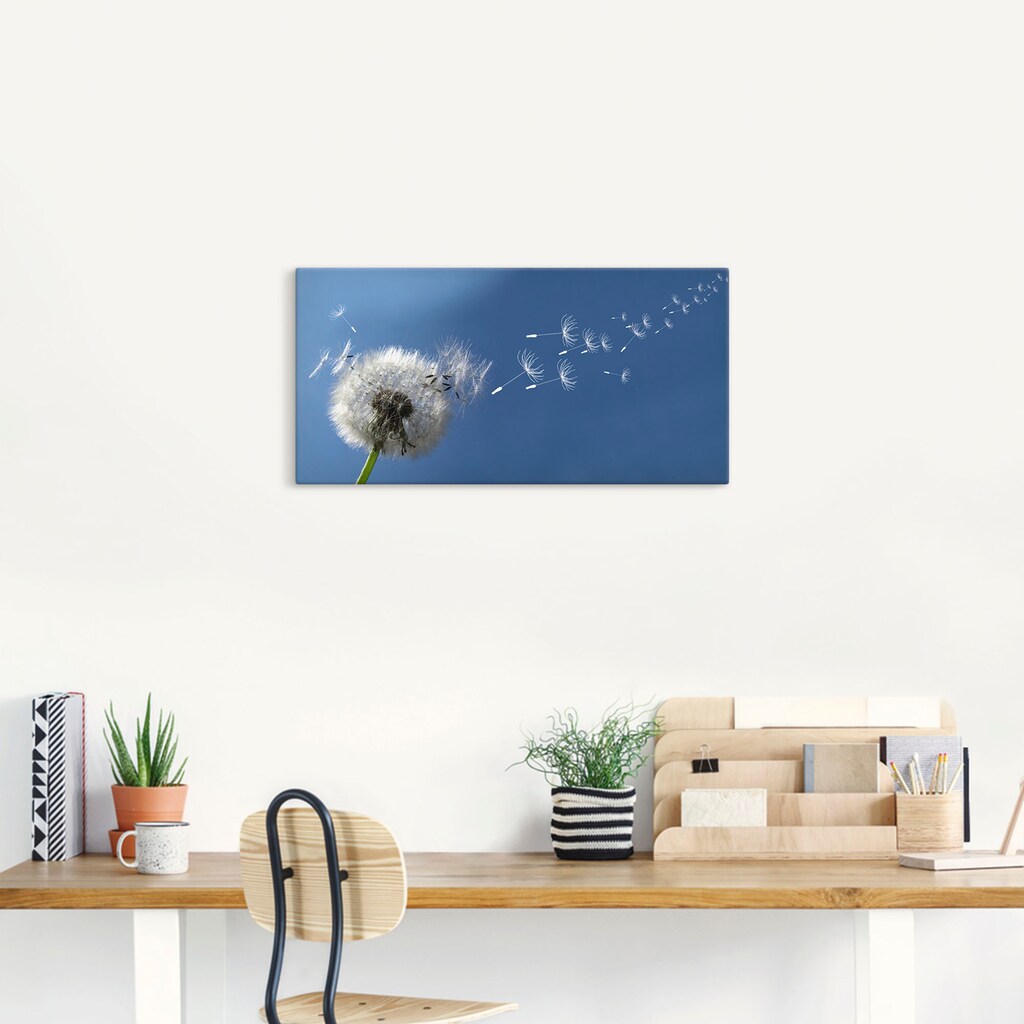 Artland Wandbild »Pusteblume«, Blumen, (1 St.), als Alubild, Outdoorbild, Leinwandbild, Poster in verschied. Grössen