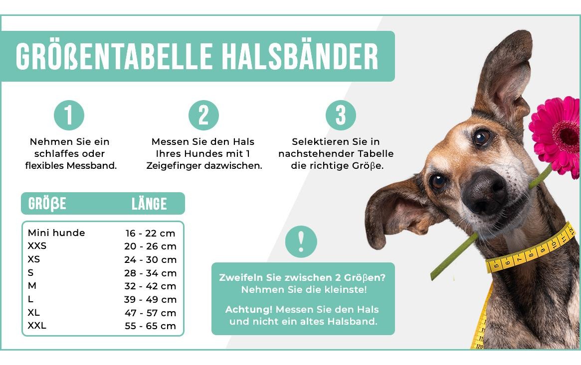 Hunde-Halsband »Boho Juan Halsband Gr.XXL, 4cm«, Echtleder