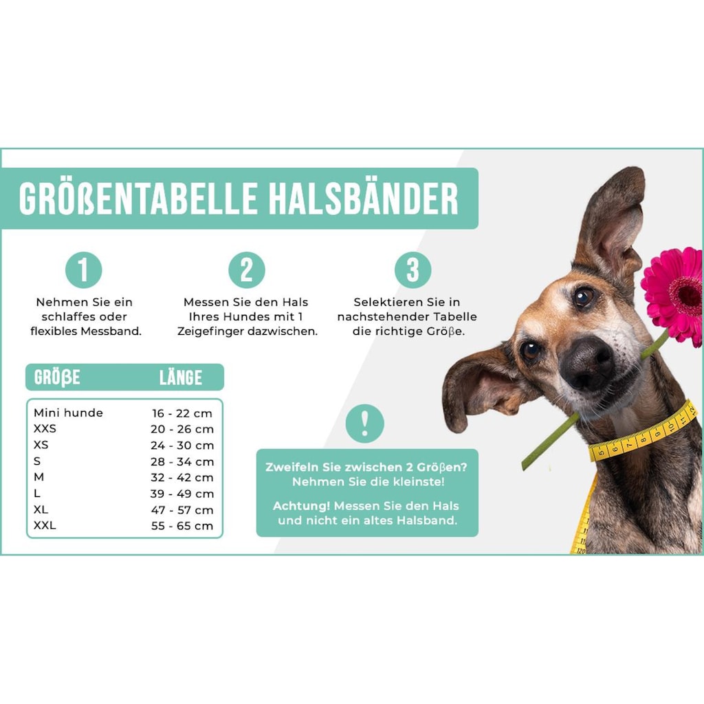 Hunde-Halsband »Boho Juan Halsband Gr.XXL, 4cm«, Echtleder