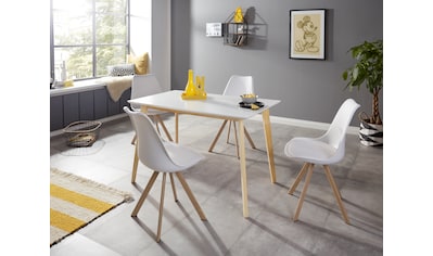 Homexperts Essgruppe, (Set, 5 tlg., Esstisch mit 4 Stühlen) online  bestellen | Jelmoli-Versand