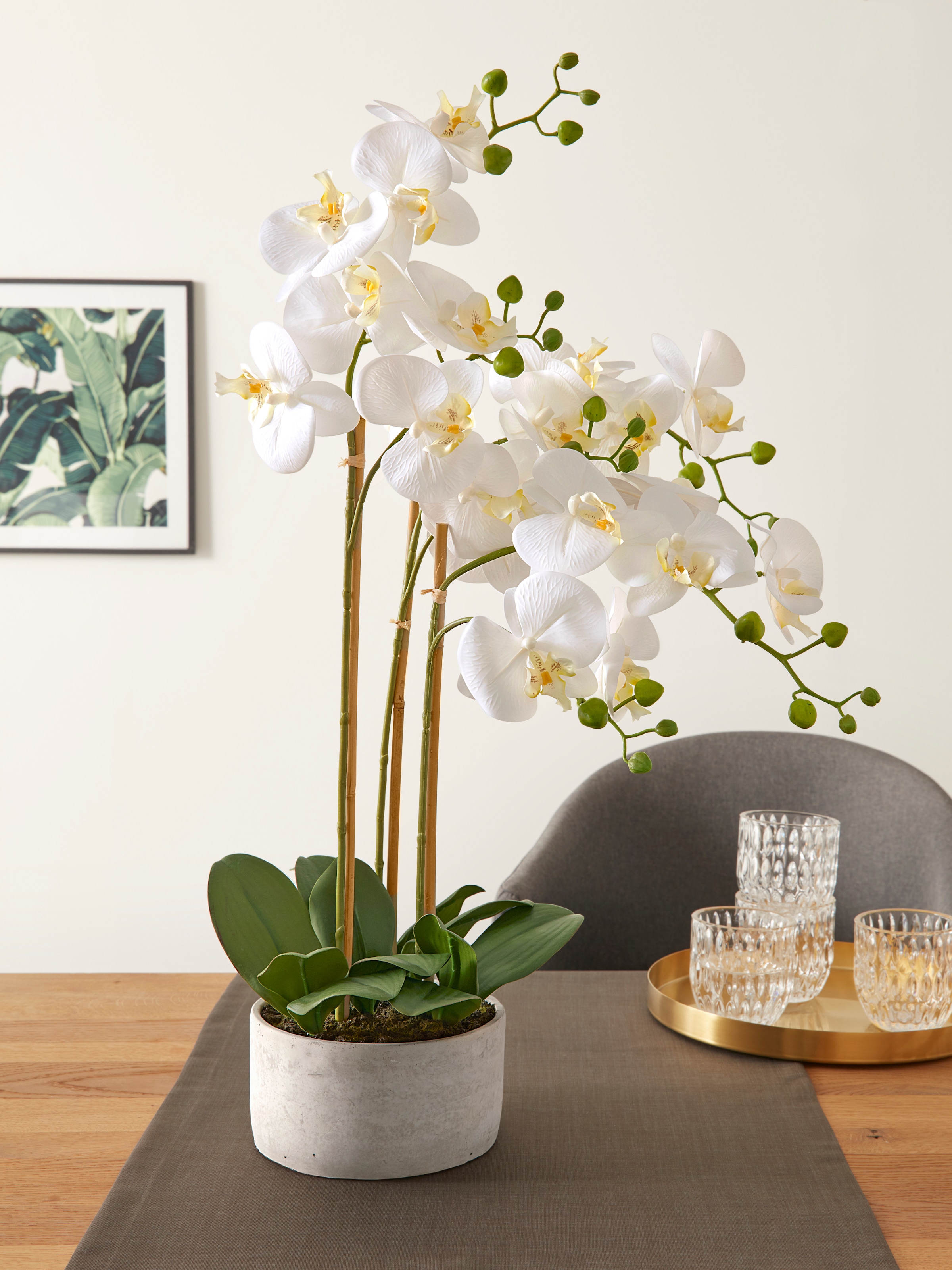 Creativ green Kunstorchidee »Deko-Orchidee Phalaenopsis XL Jelmoli-Versand shoppen | online Keramiktopf« im