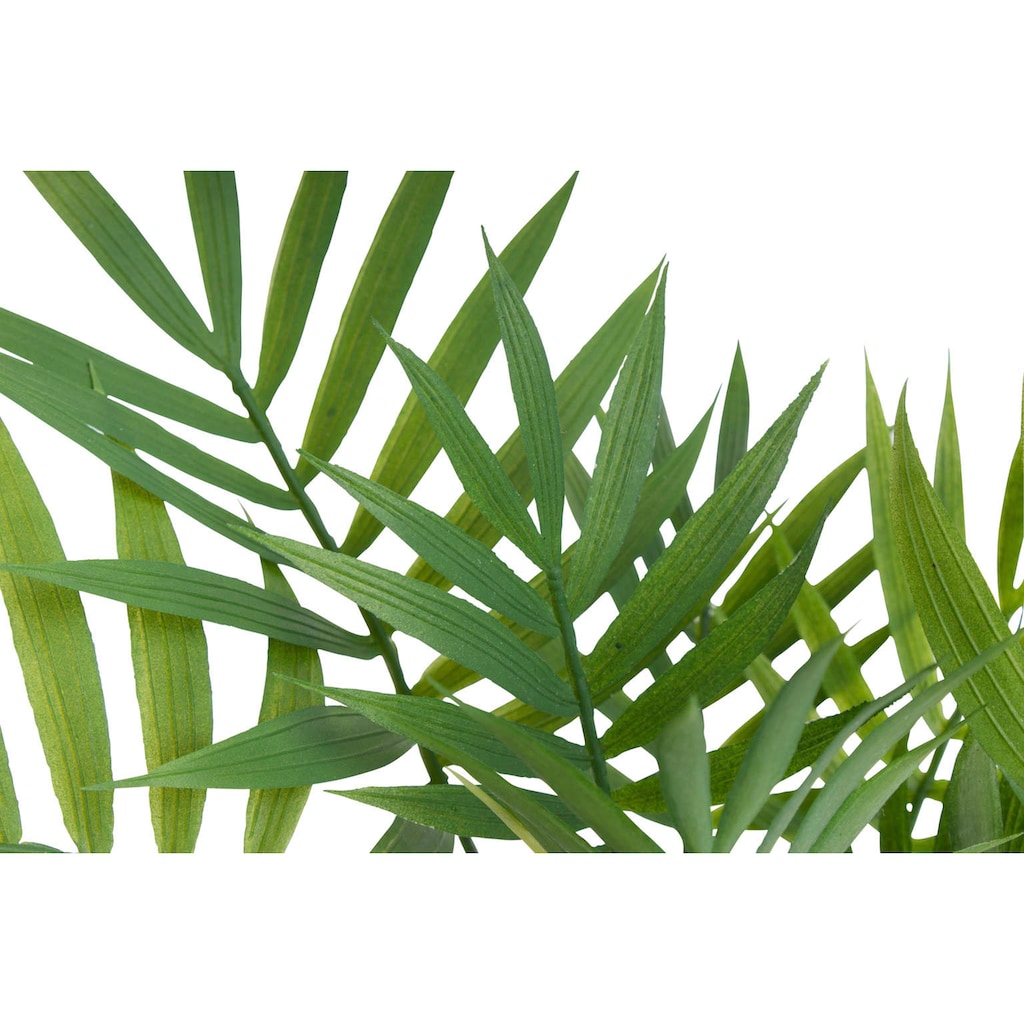 Botanic-Haus Künstliche Zimmerpflanze »Chamaedorea Palme«