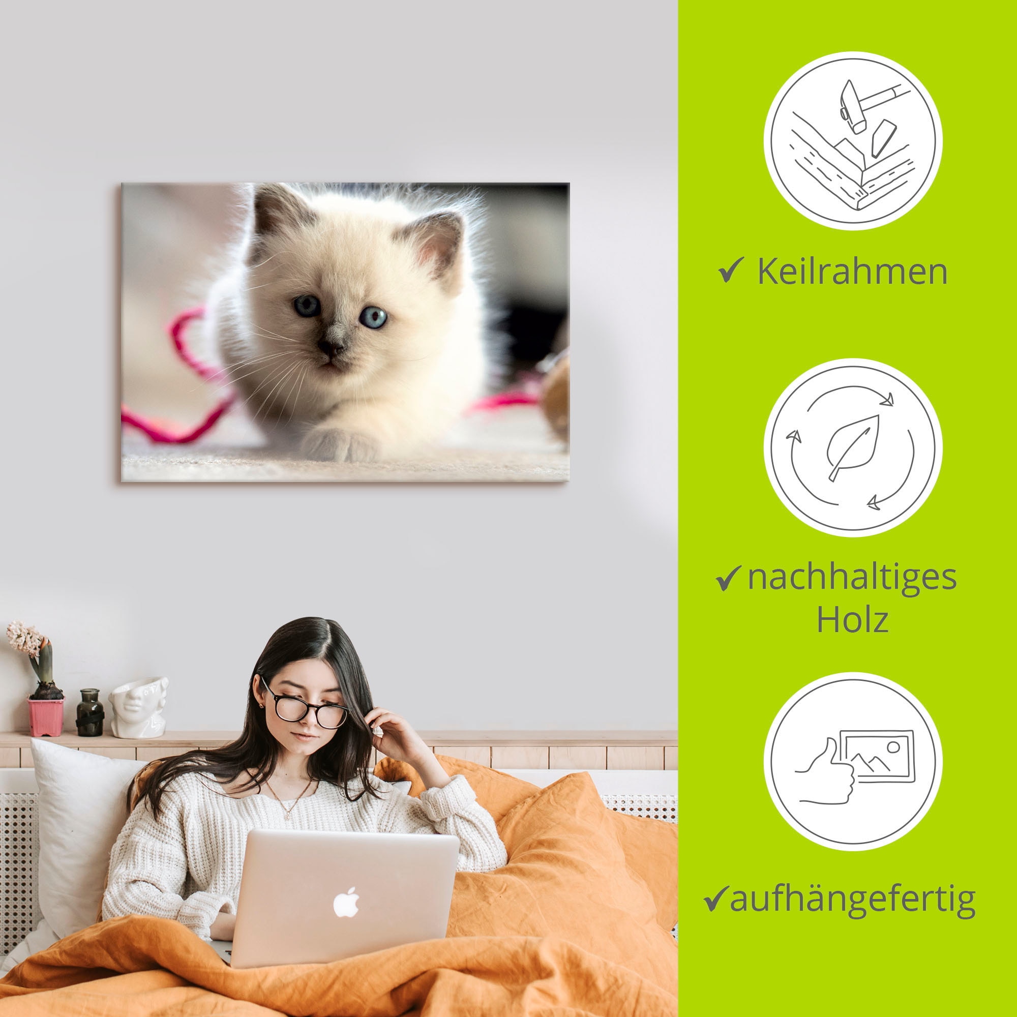 Artland Leinwandbild »Heilige Birma Katze im Spiel«, Katzenbilder, (1 St.), auf Keilrahmen gespannt