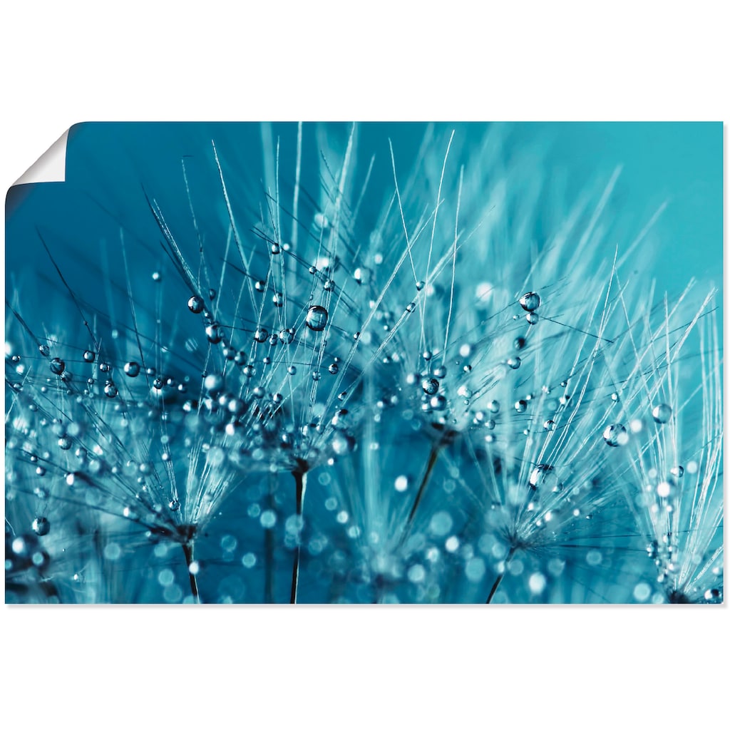 Artland Wandbild »Blaue glitzernde Pusteblume«, Blumen, (1 St.)