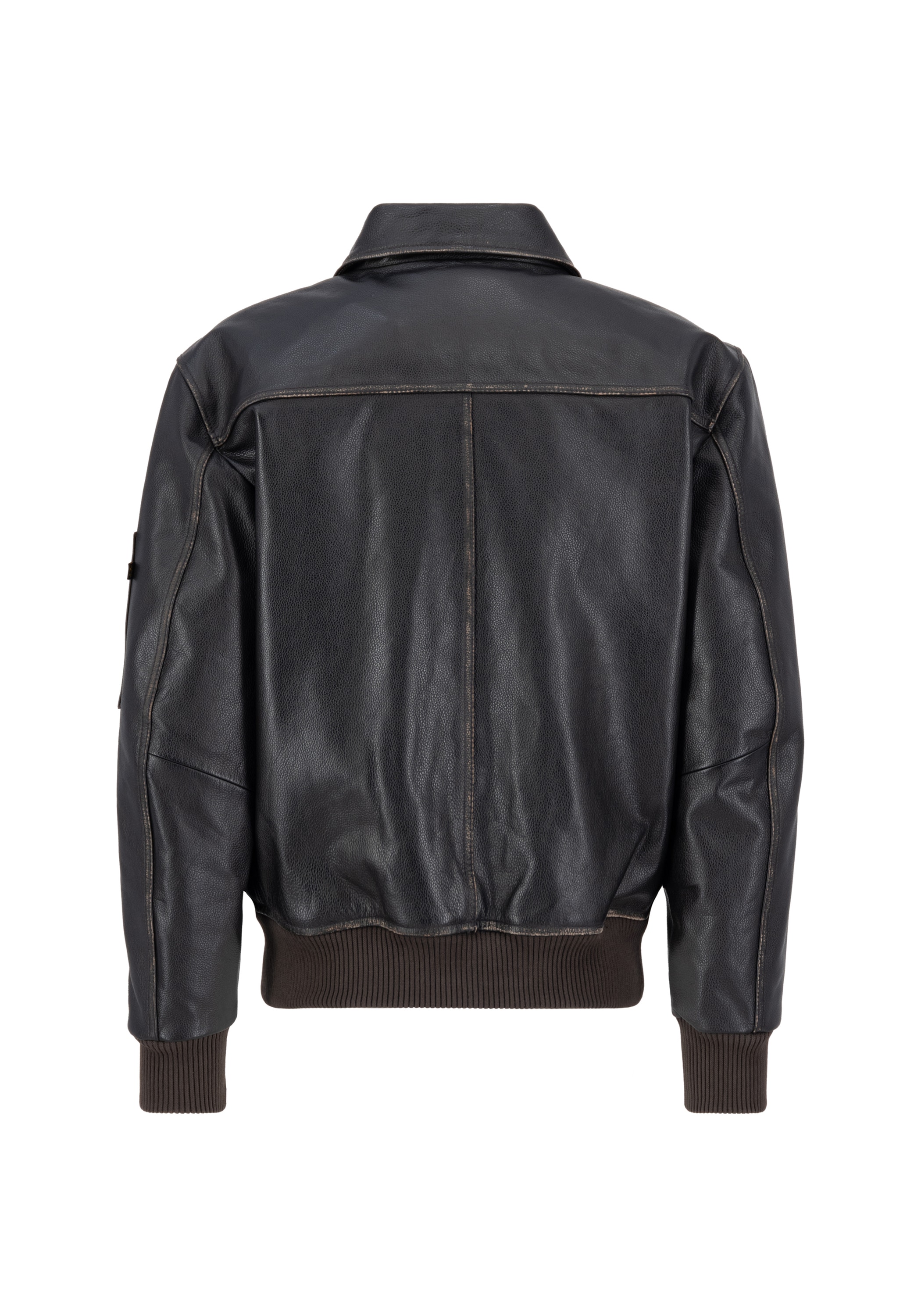 Alpha Industries Lederjacke »Alpha Industries Men - Leather & Vegan Jackets«