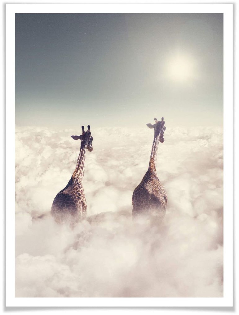 Wall-Art Poster »Safari Giraffen St.), | (1 shoppen in Wandposter Poster, Wolken«, den Bild, Tiere, Wandbild, Jelmoli-Versand online