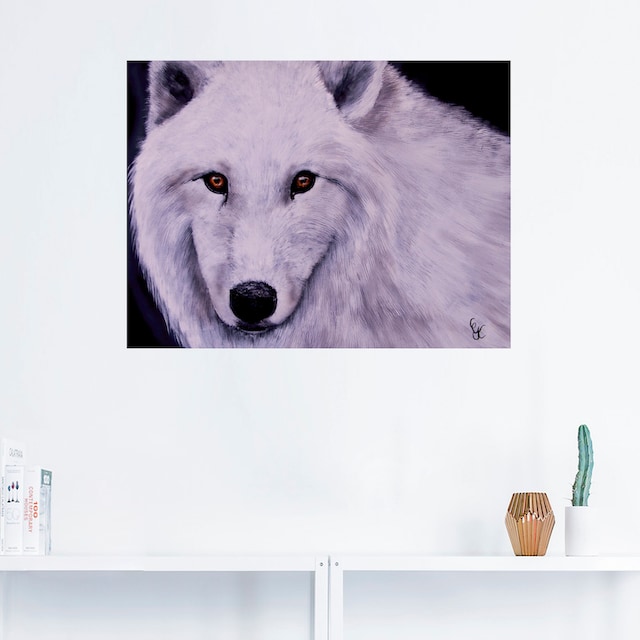 Poster Wildtiere, oder »Weisser Jelmoli-Versand Alubild, Leinwandbild, Artland St.), Wandaufkleber Wandbild als (1 Wolf«, Grössen versch. in online | shoppen
