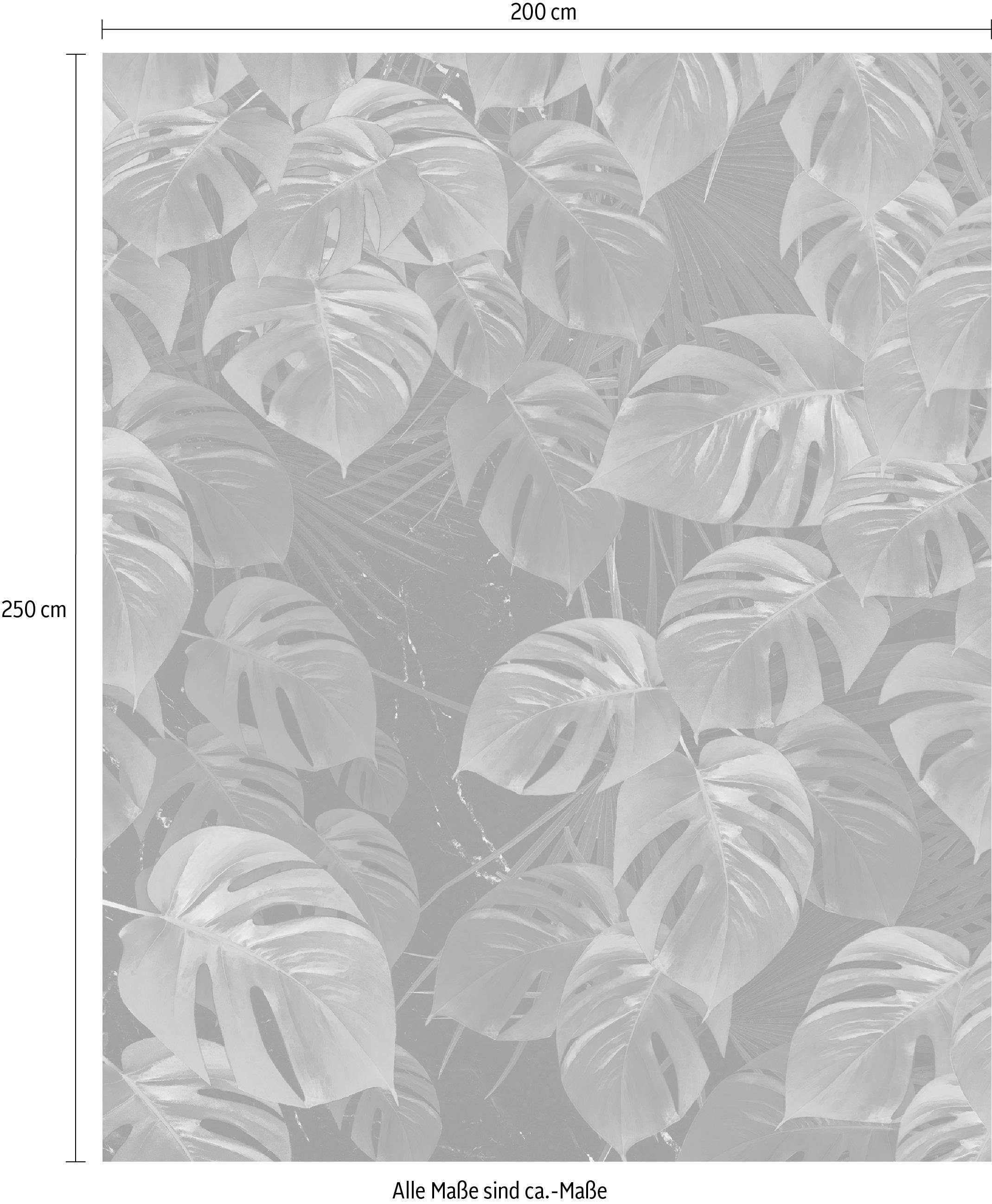 Komar Vliestapete »Digitaldruck Vlies - Monstera on Marble - Grösse 200 x 250 cm«, bedruckt, Wohnzimmer, Schlafzimmer